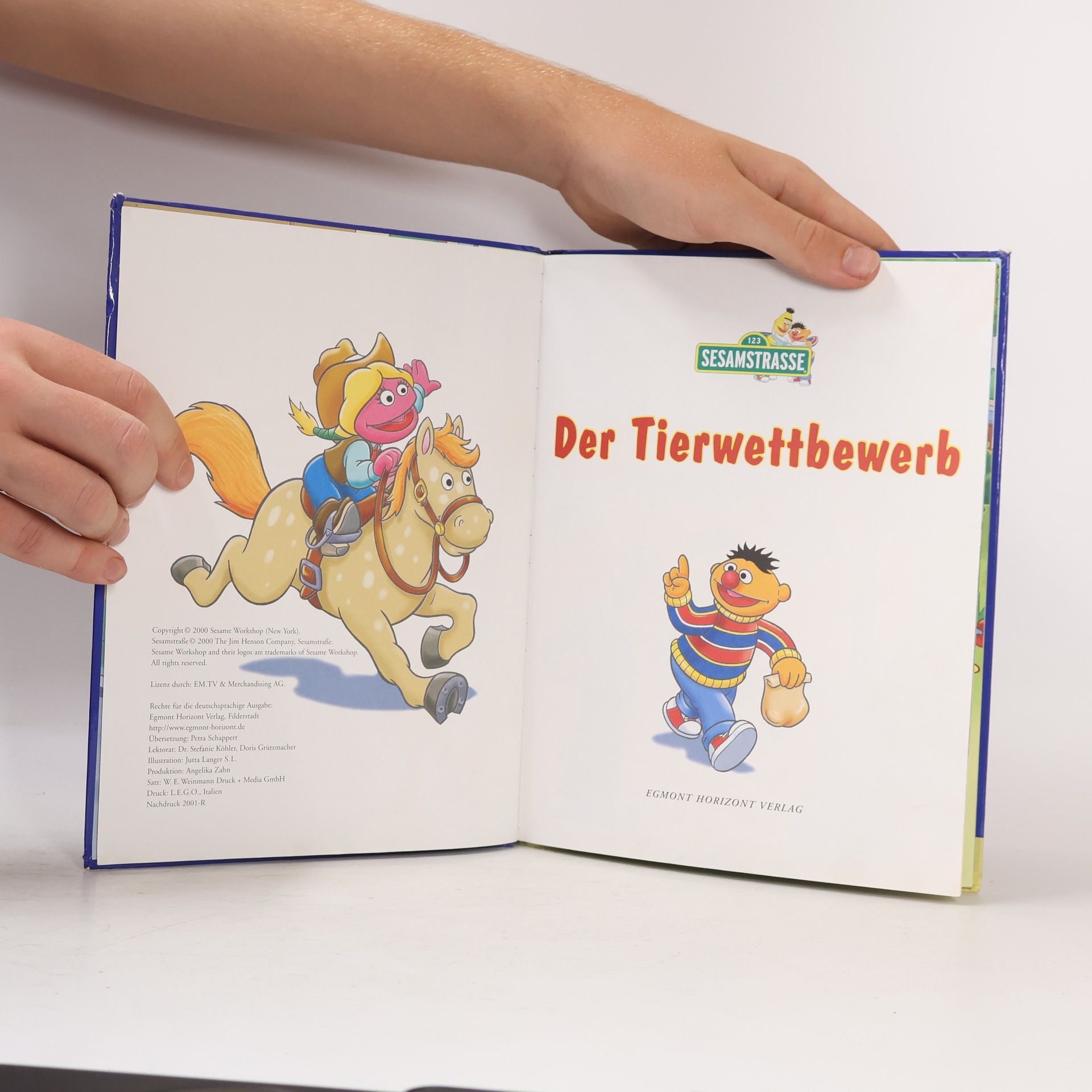 Autorenkollektiv Der Tierwettbewerb