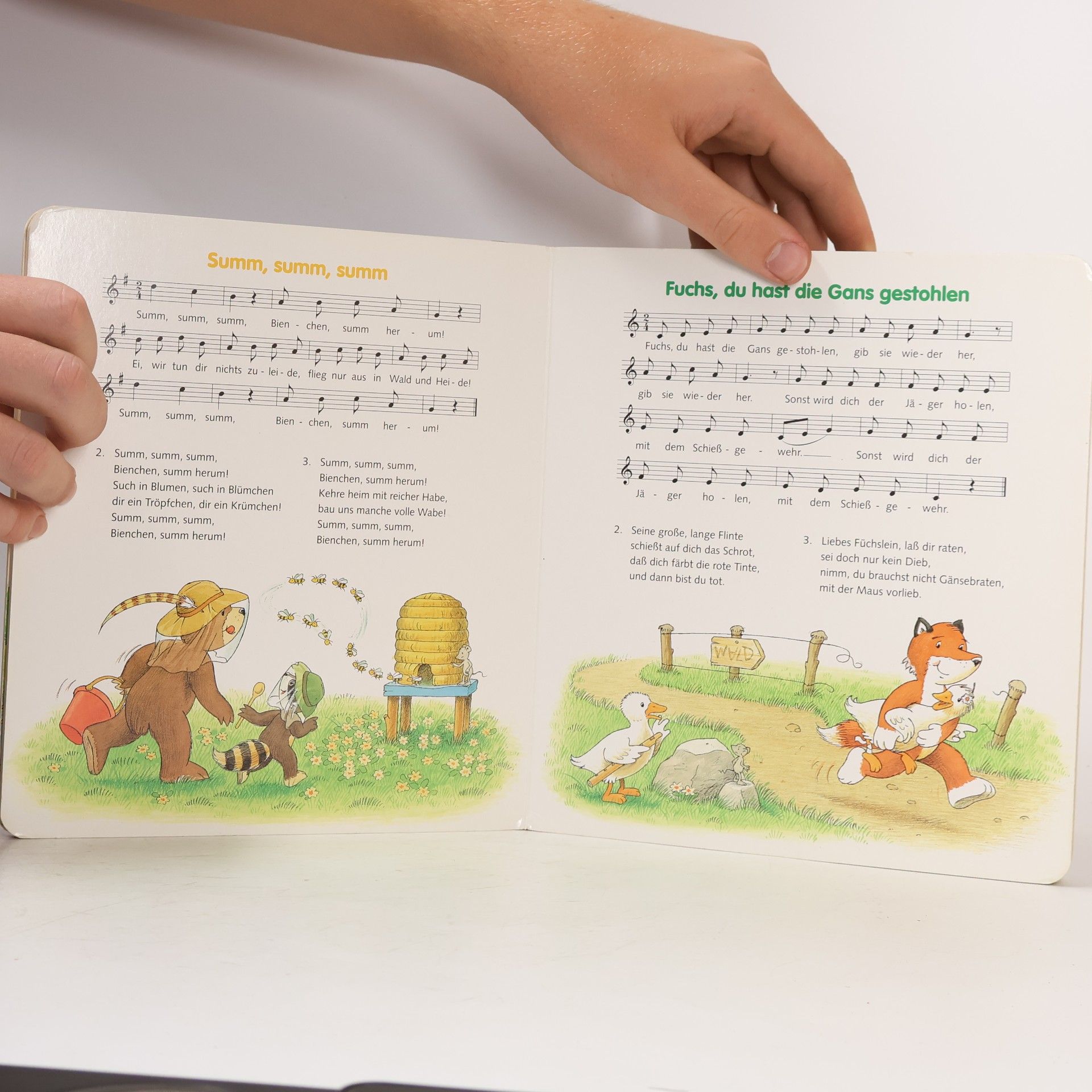 Auteurscollectief Meine ersten Kinderlieder