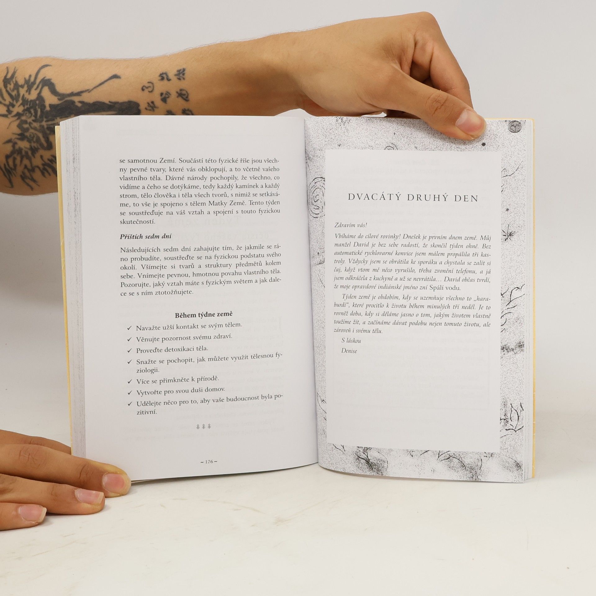 Denise Linn Trénink duše: Za 28 dní objevíte své opravdové já!