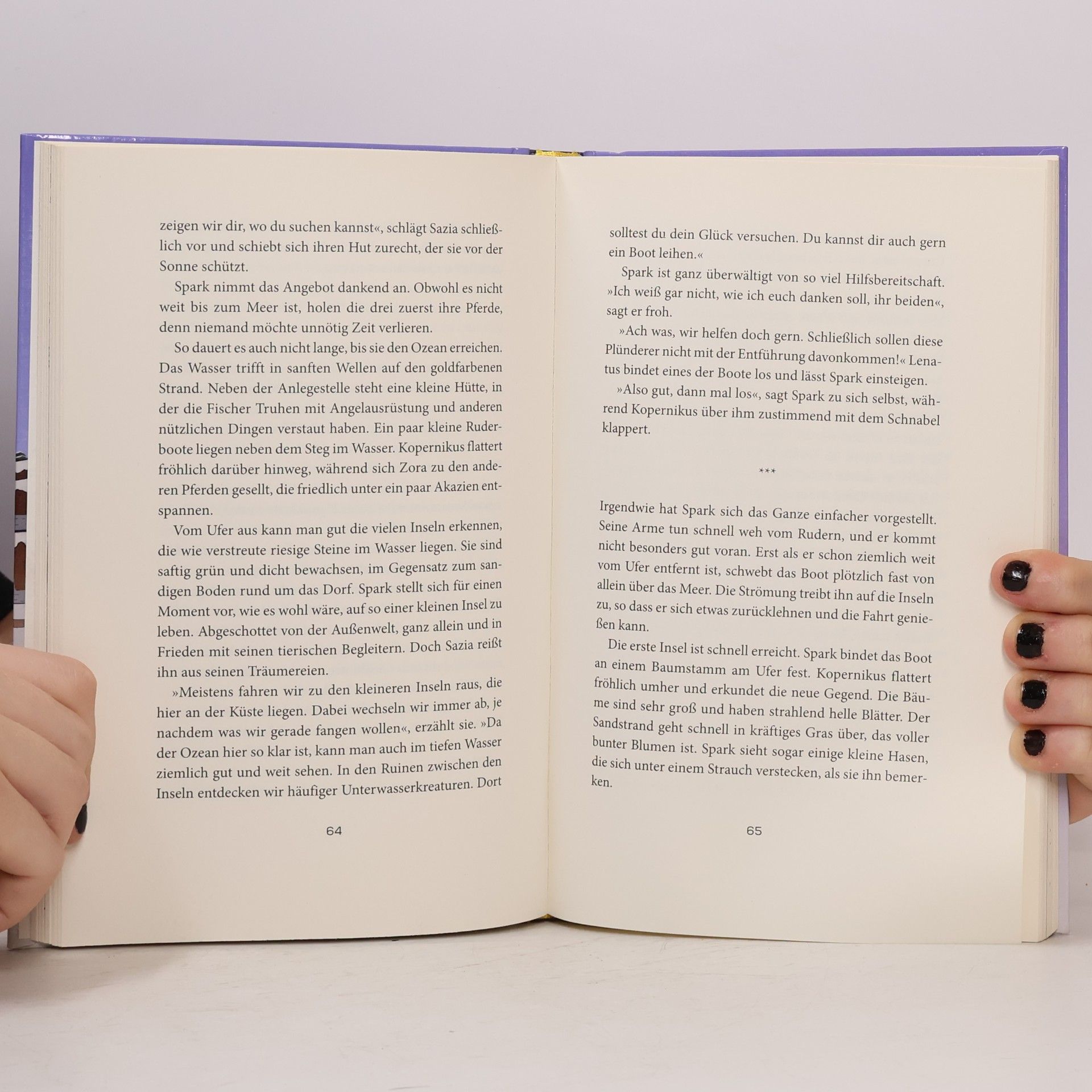 SparkofPhoenix Spark und das Geheimnis der Pillager