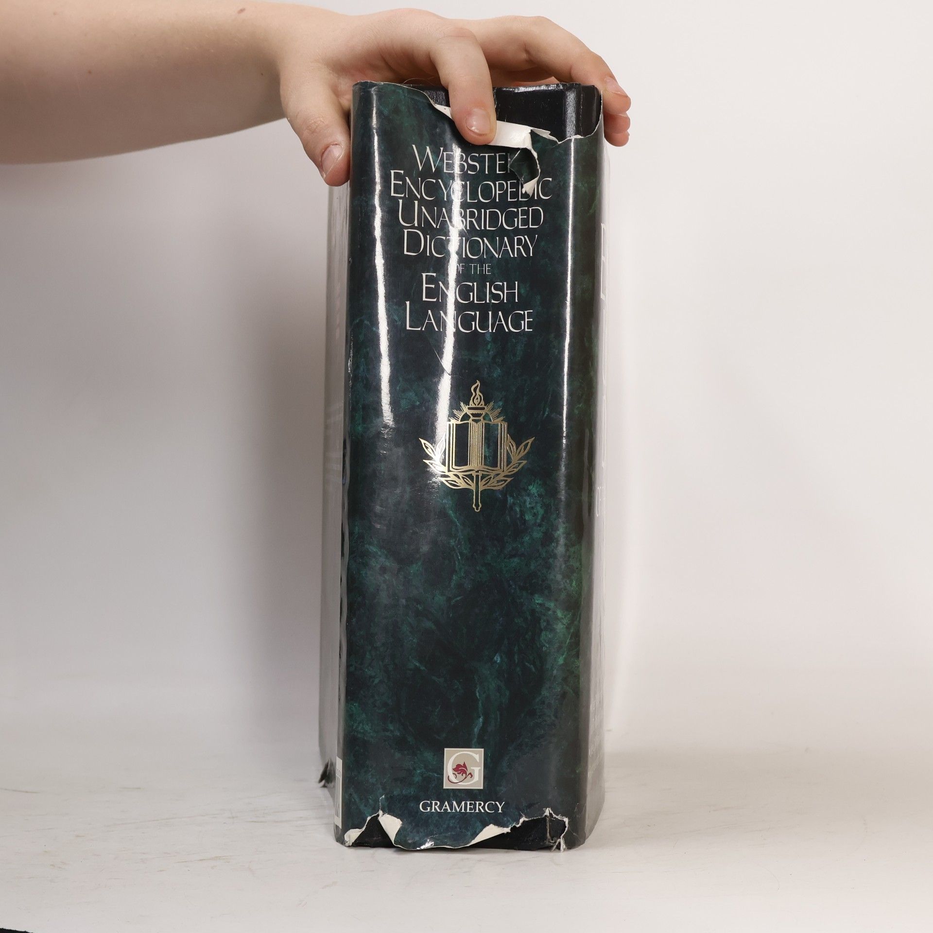 Auteurscollectief Webster's encyclopedic unabridged dictionary of the English language