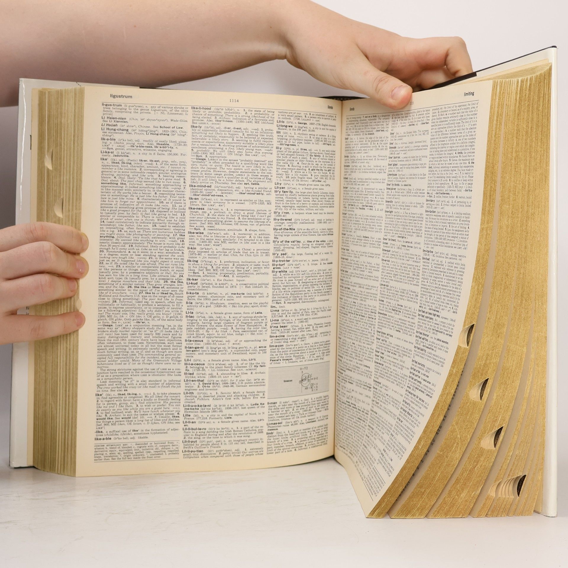 Auteurscollectief Webster's encyclopedic unabridged dictionary of the English language