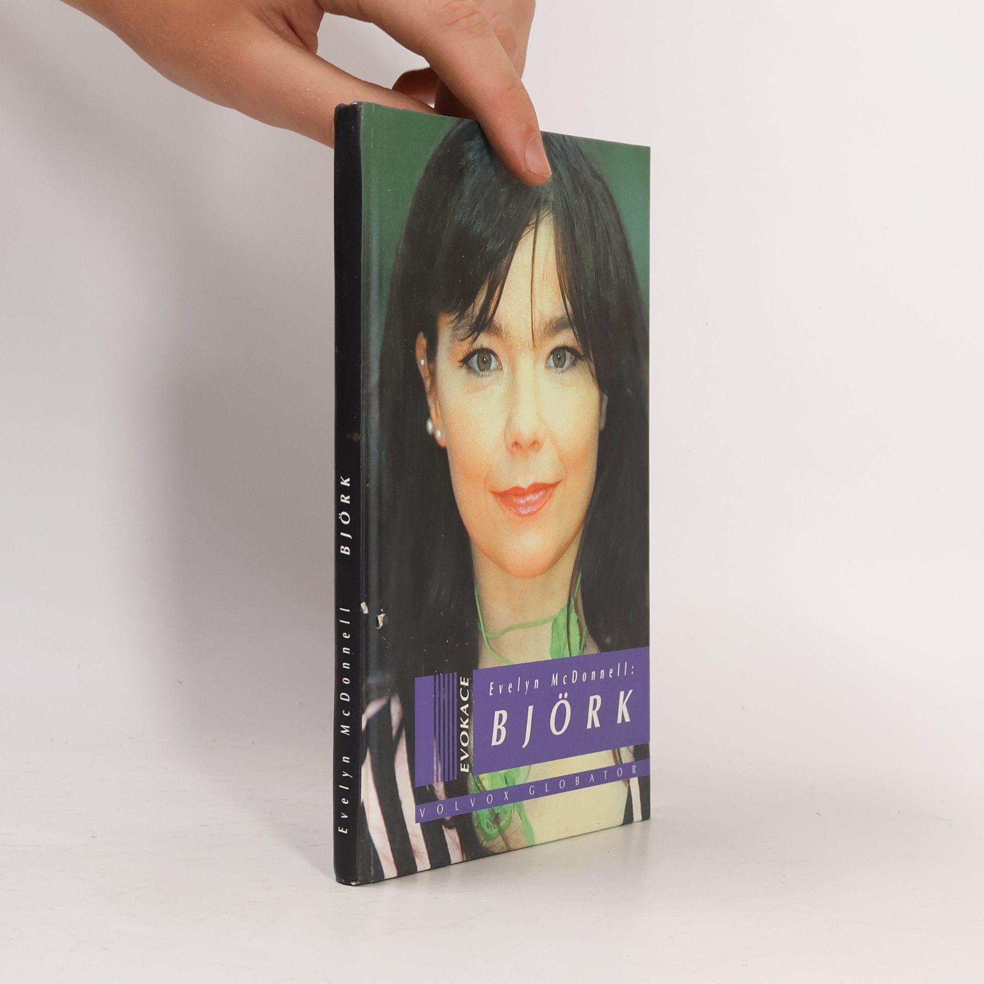 Evelyn McDonnell Björk