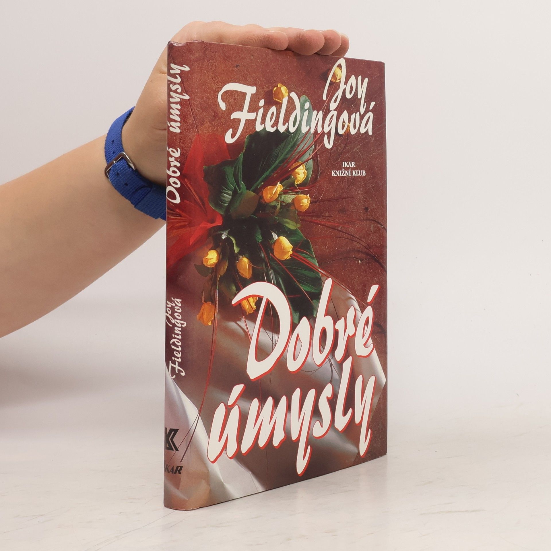 Joy Fielding Dobré úmysly