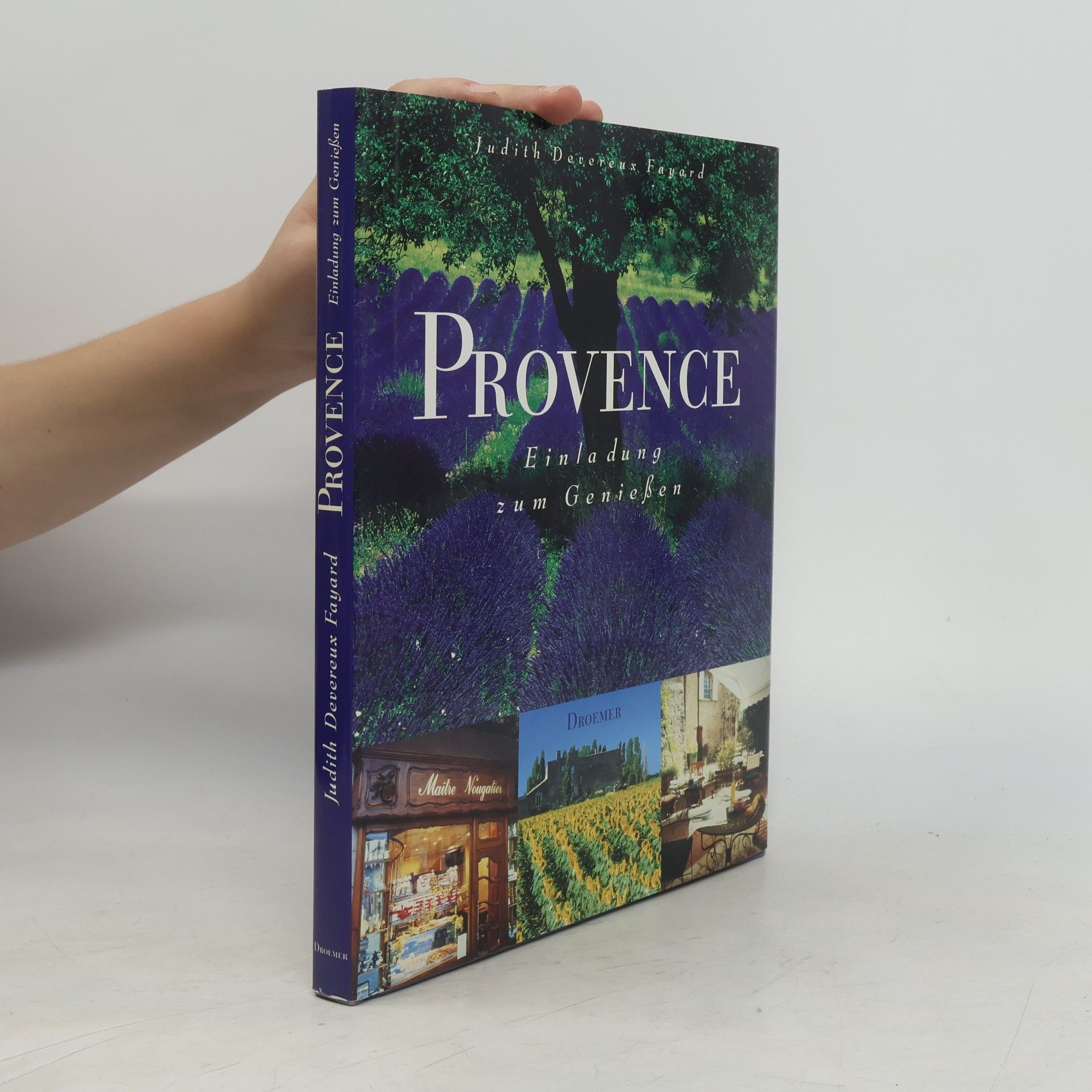 Judith Devereux Fayard Provence