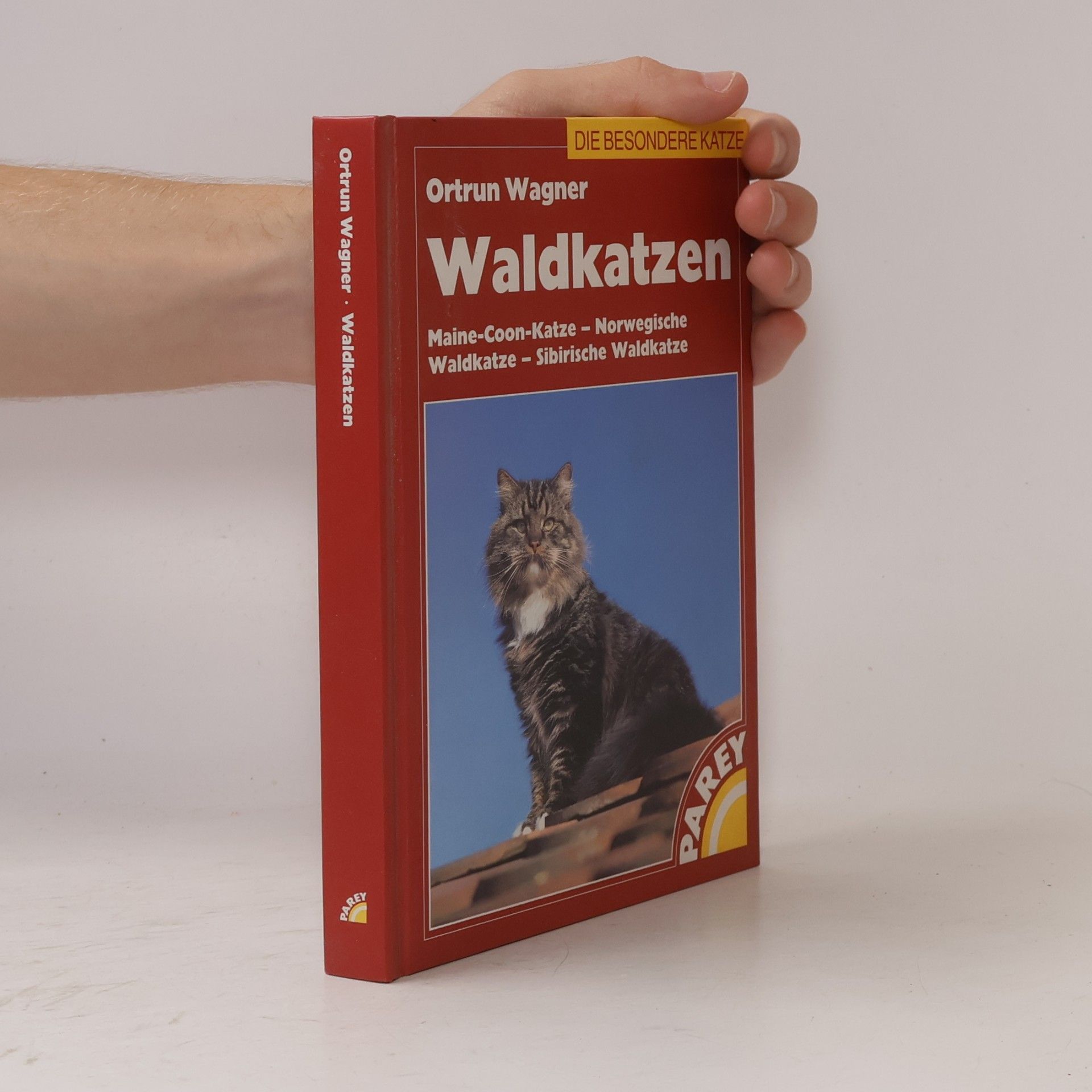 Ortrun Wagner Waldkatzen