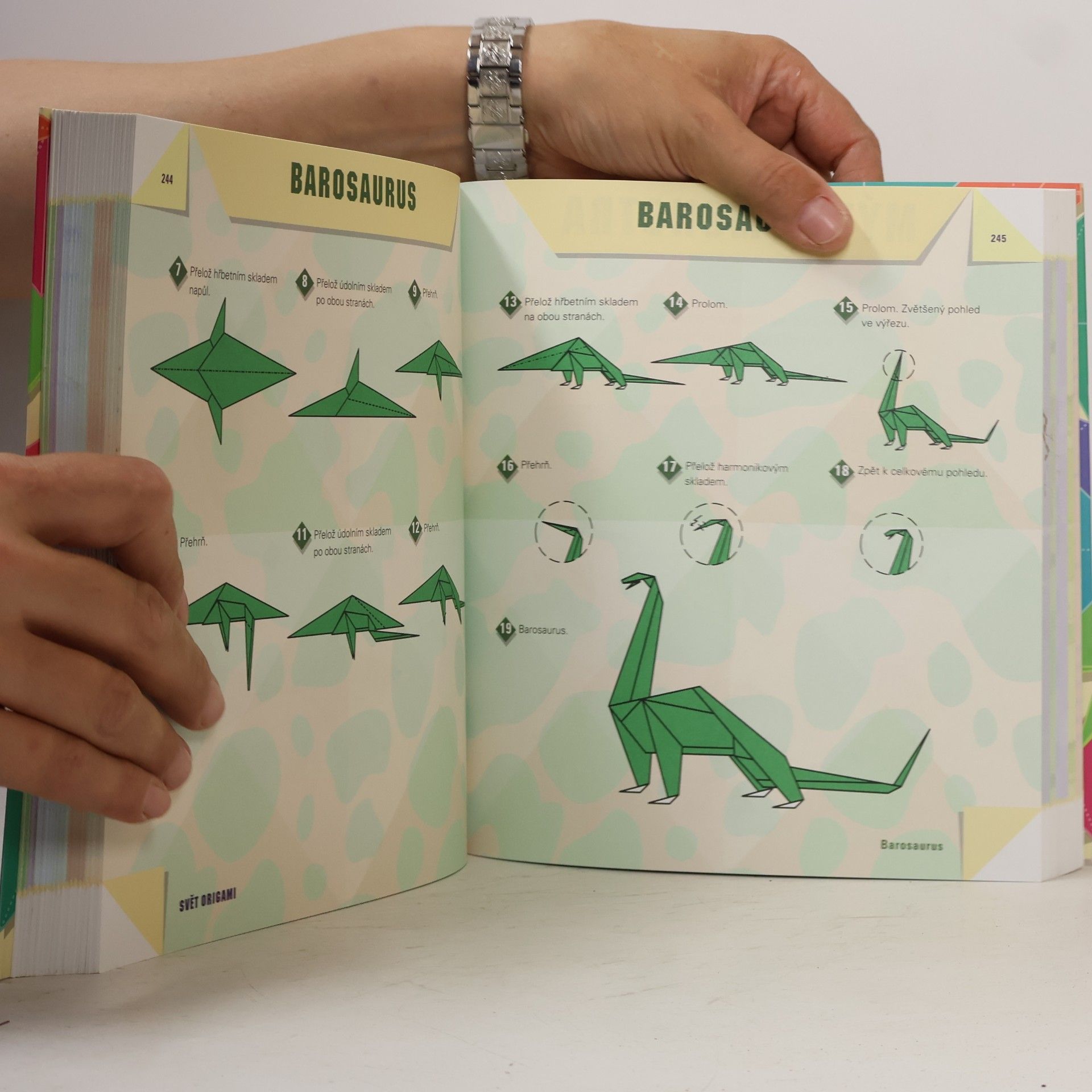 Duy Nguyen Svět origami