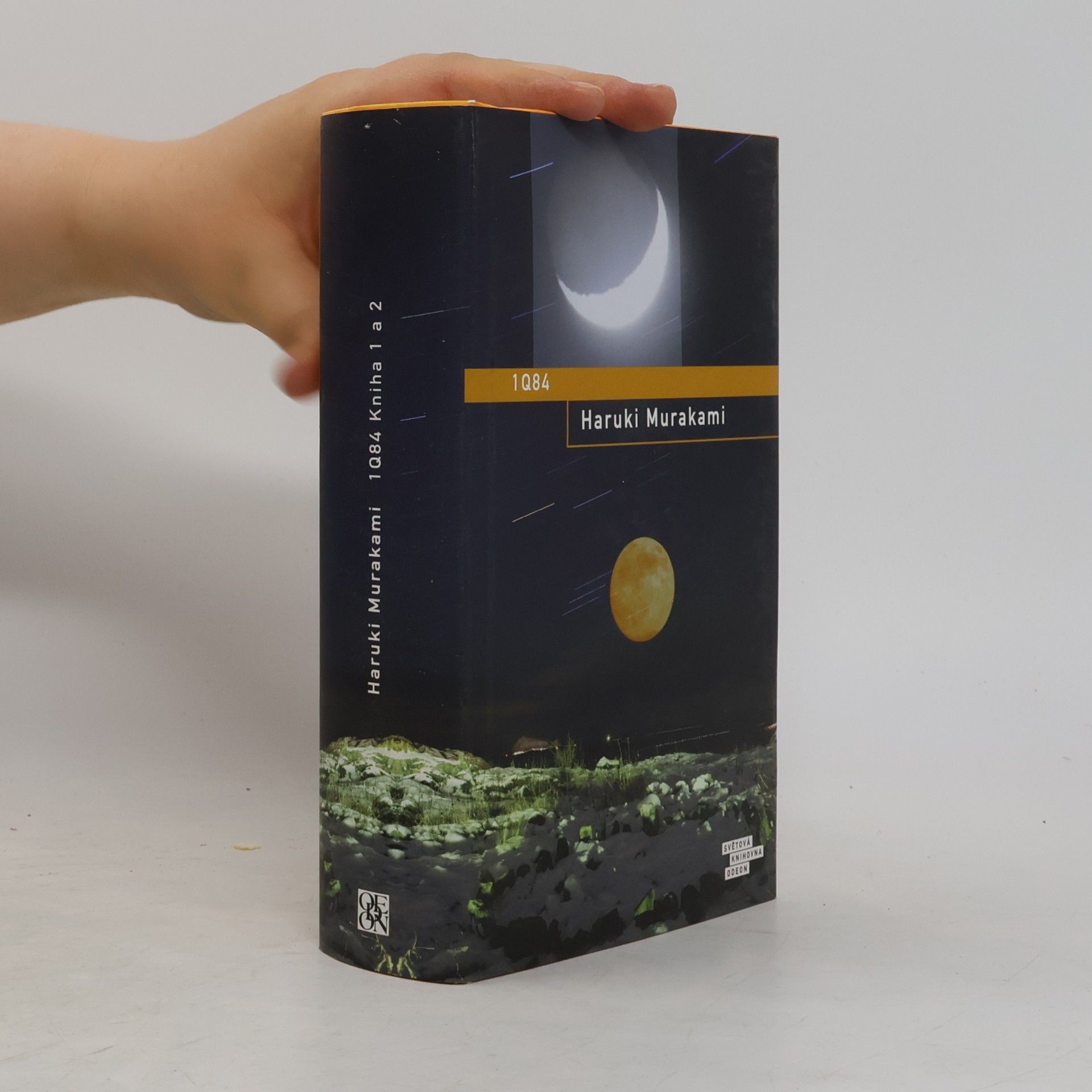 Haruki Murakami 1Q84. Kniha 1 a 2