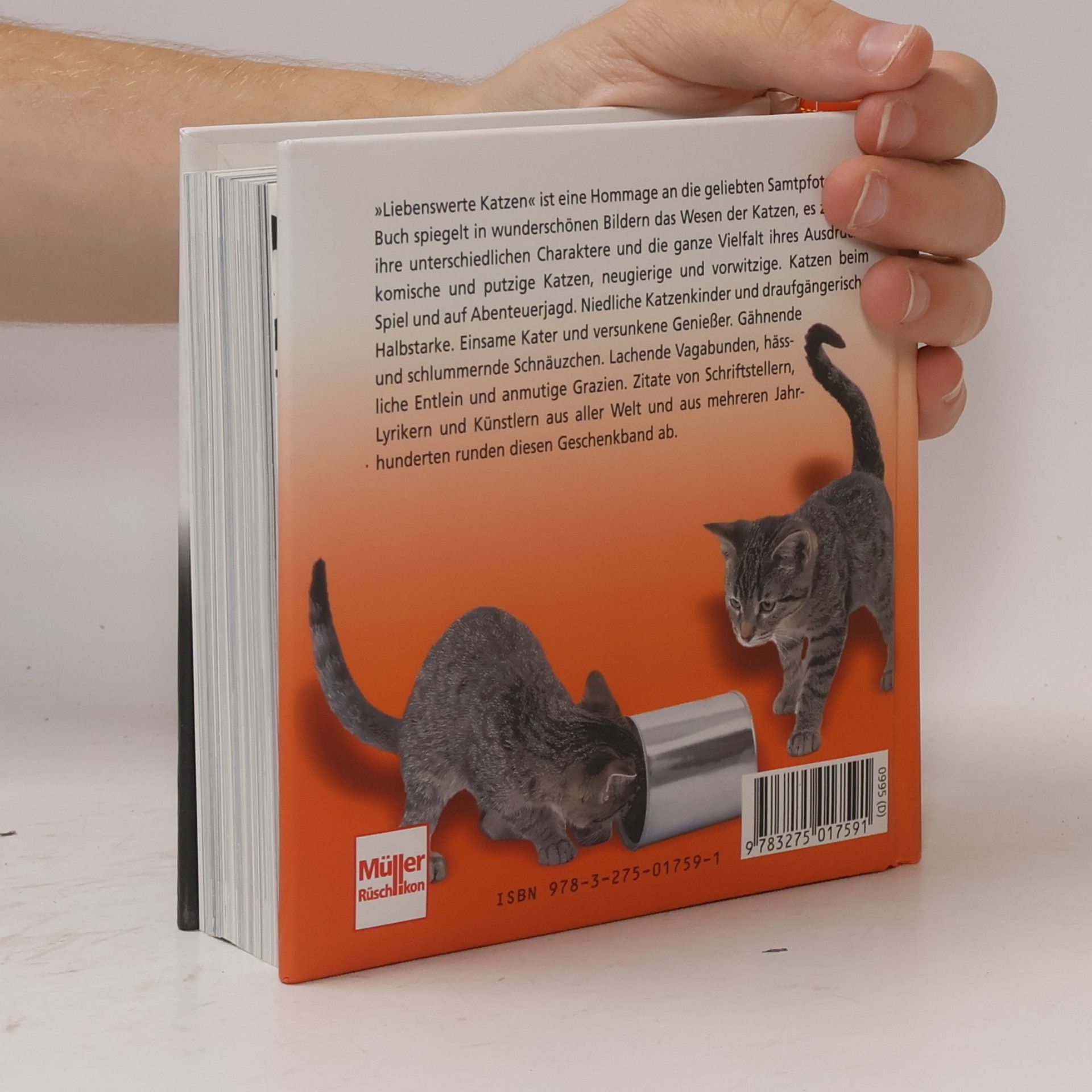 Adriano Bacchella Liebenswerte Katzen