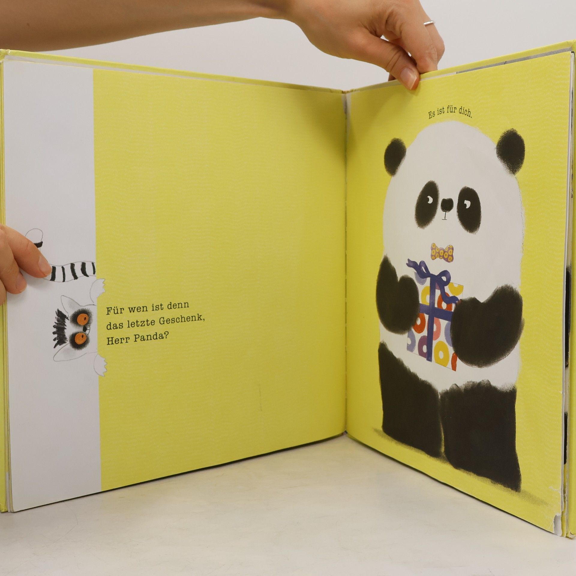 Steve Antony Herr Panda und das Danke