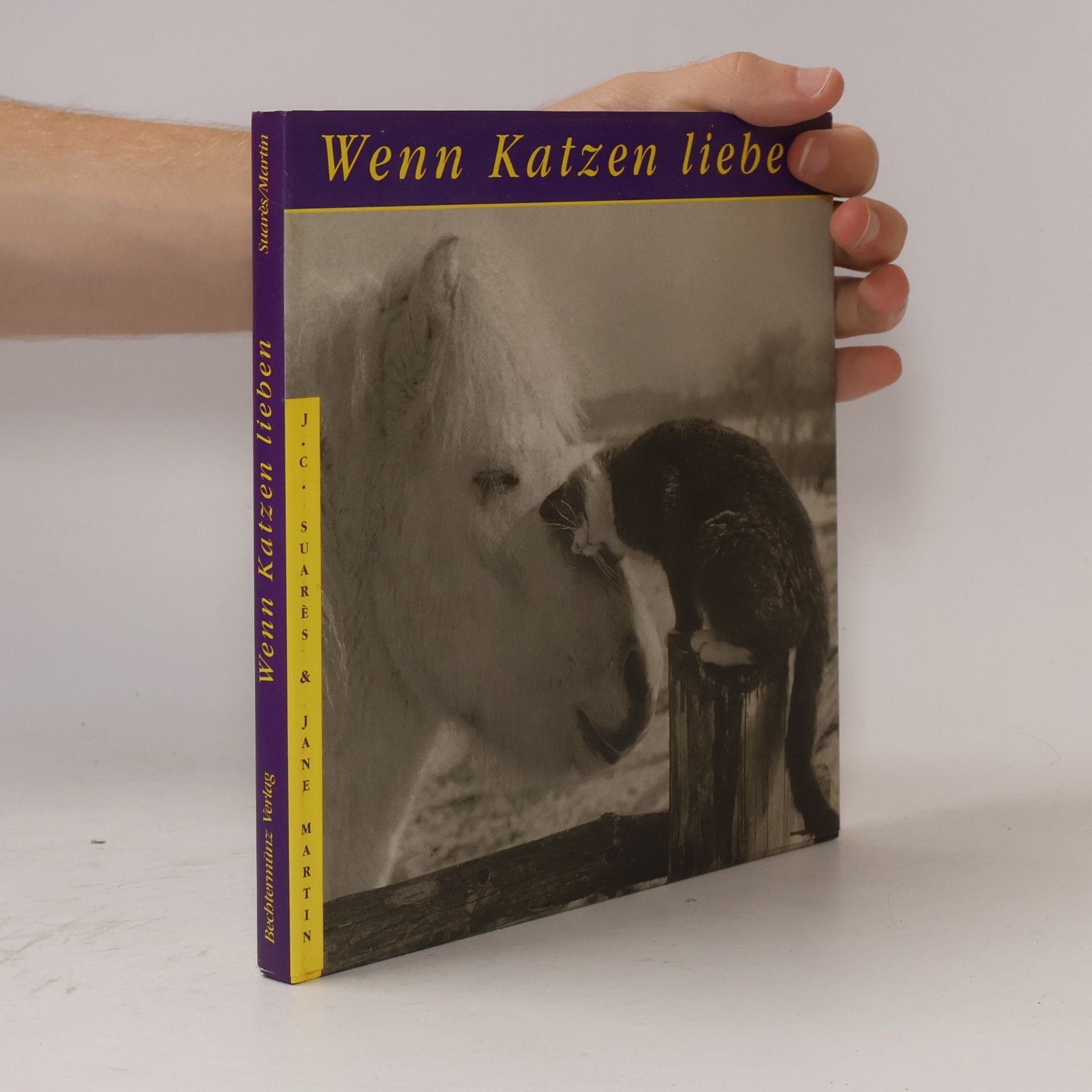 Wenn Katzen lieben
