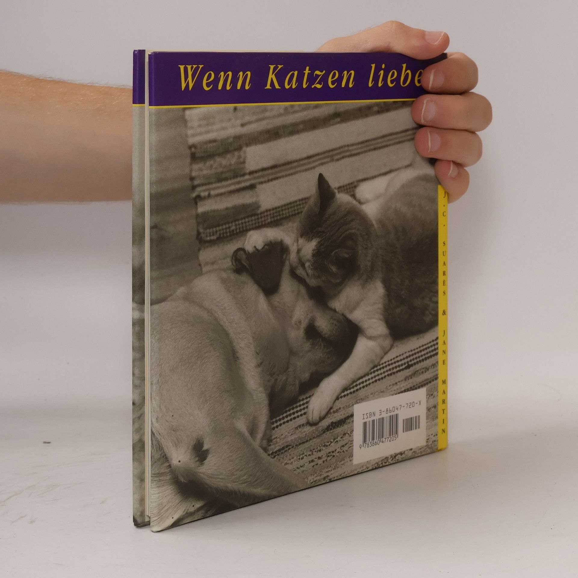 Jane Martin Wenn Katzen lieben