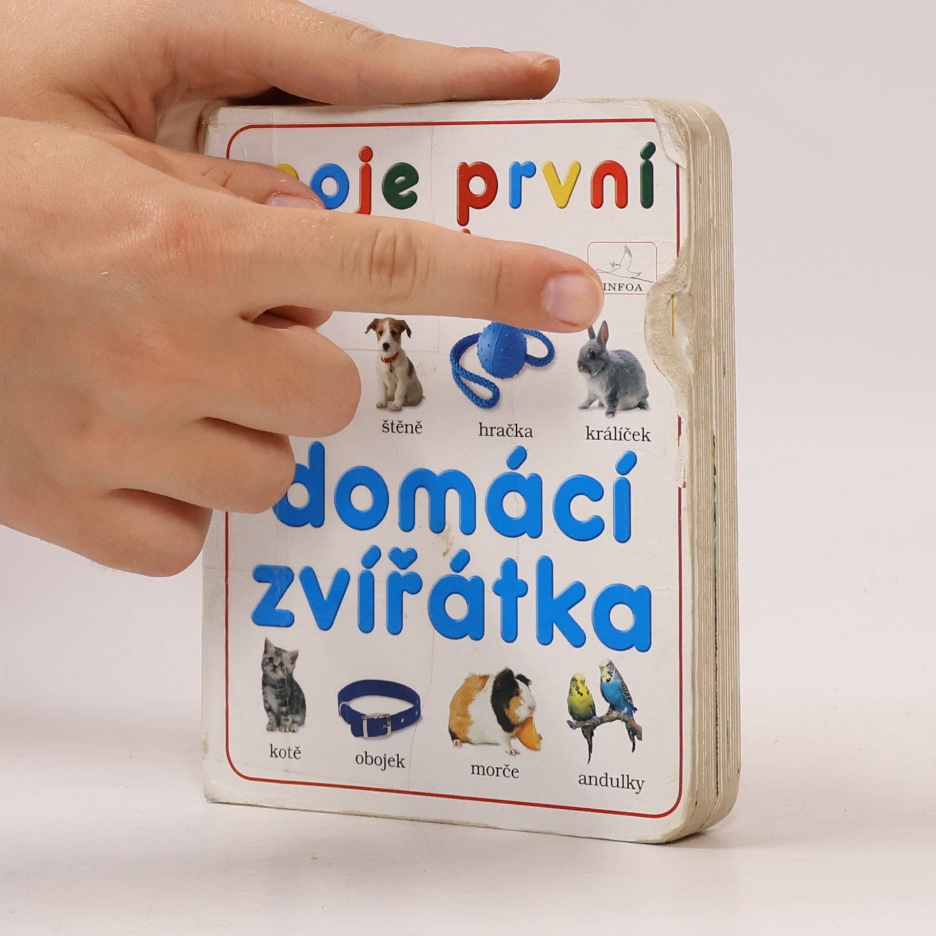 Collectif d'auteurs Domácí zvířátka