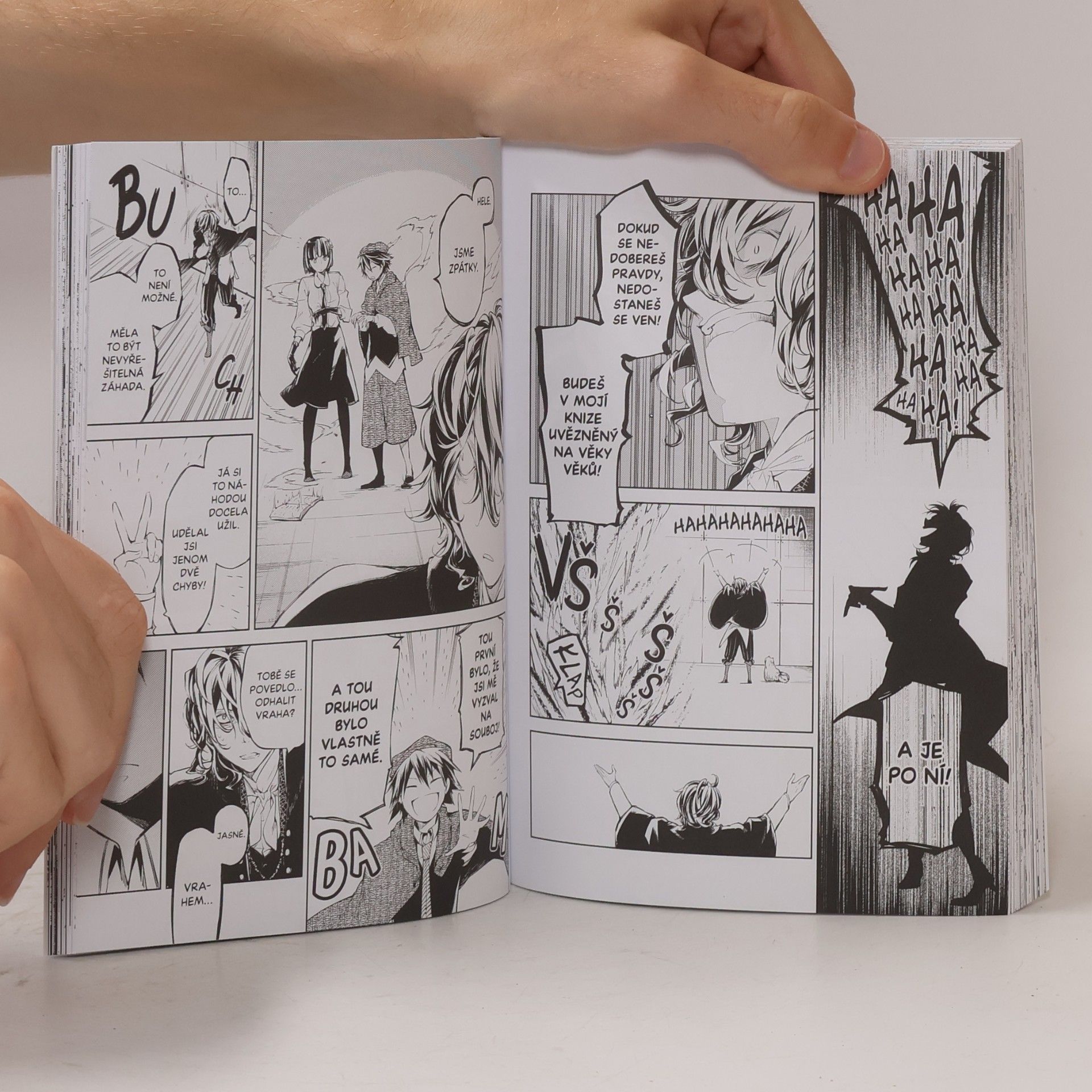 Kafka Asagiri Toulaví literáti 8