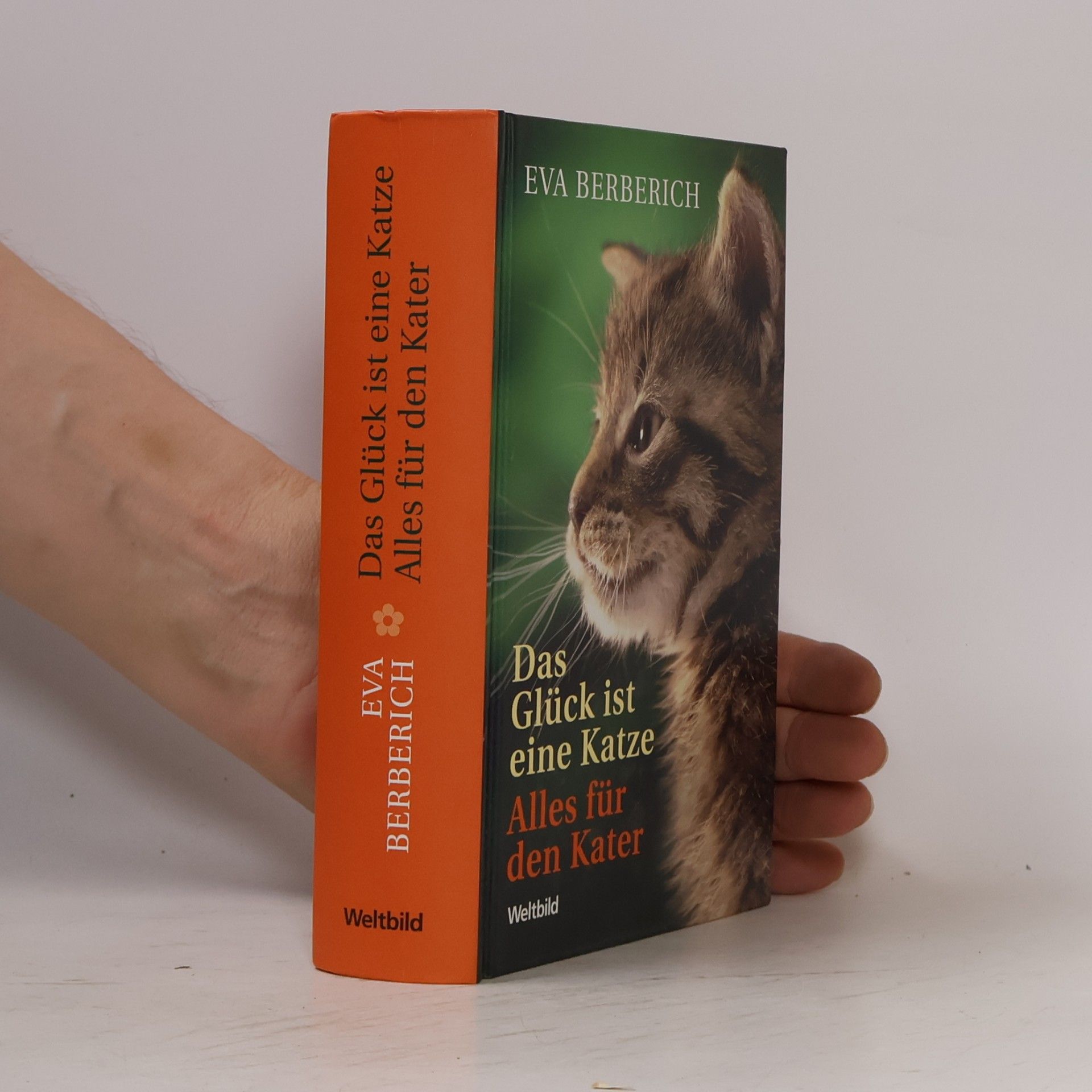 Eva Berberich Das Glück ist eine Katze