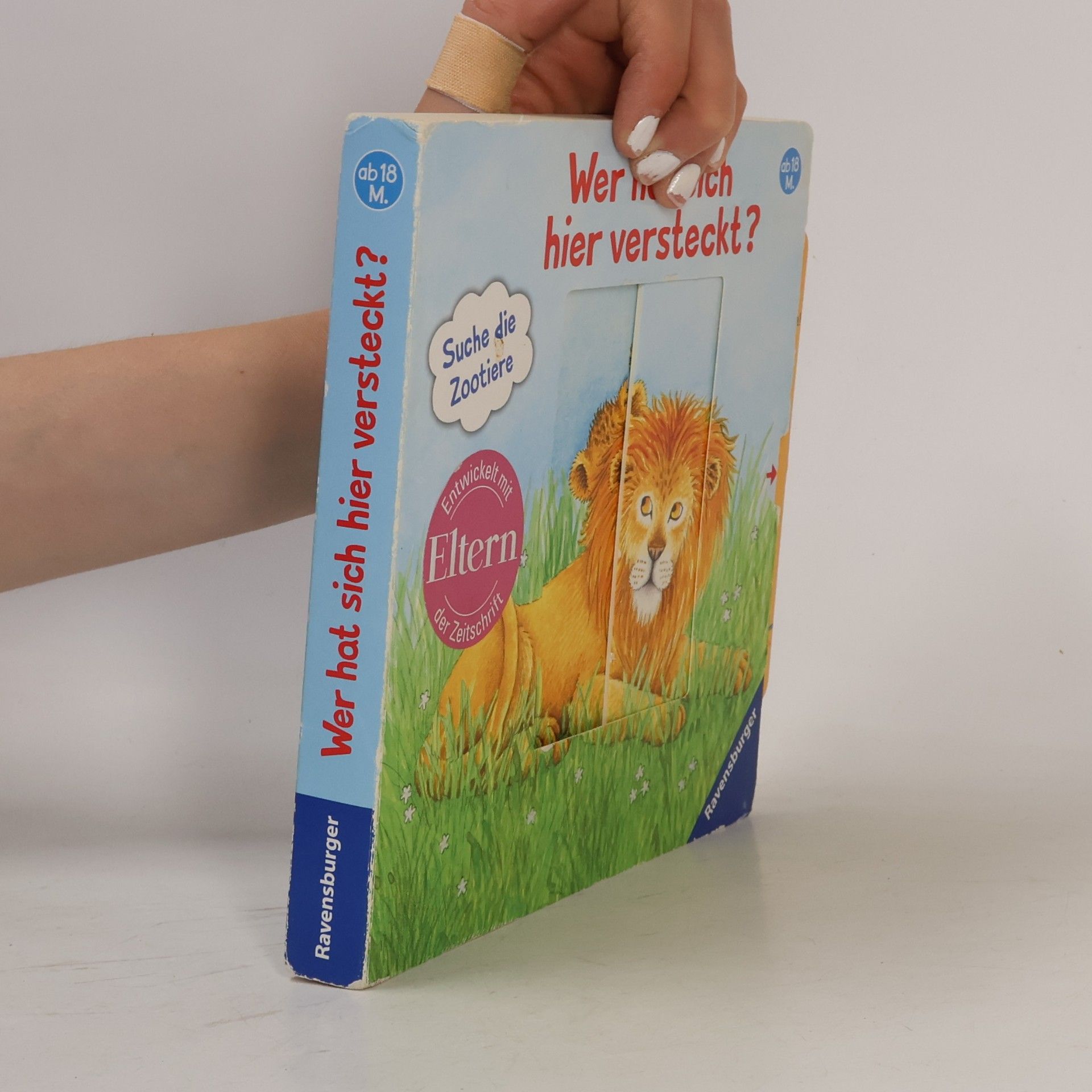 Barbara Jelenkovich Wer hat sich hier versteckt?