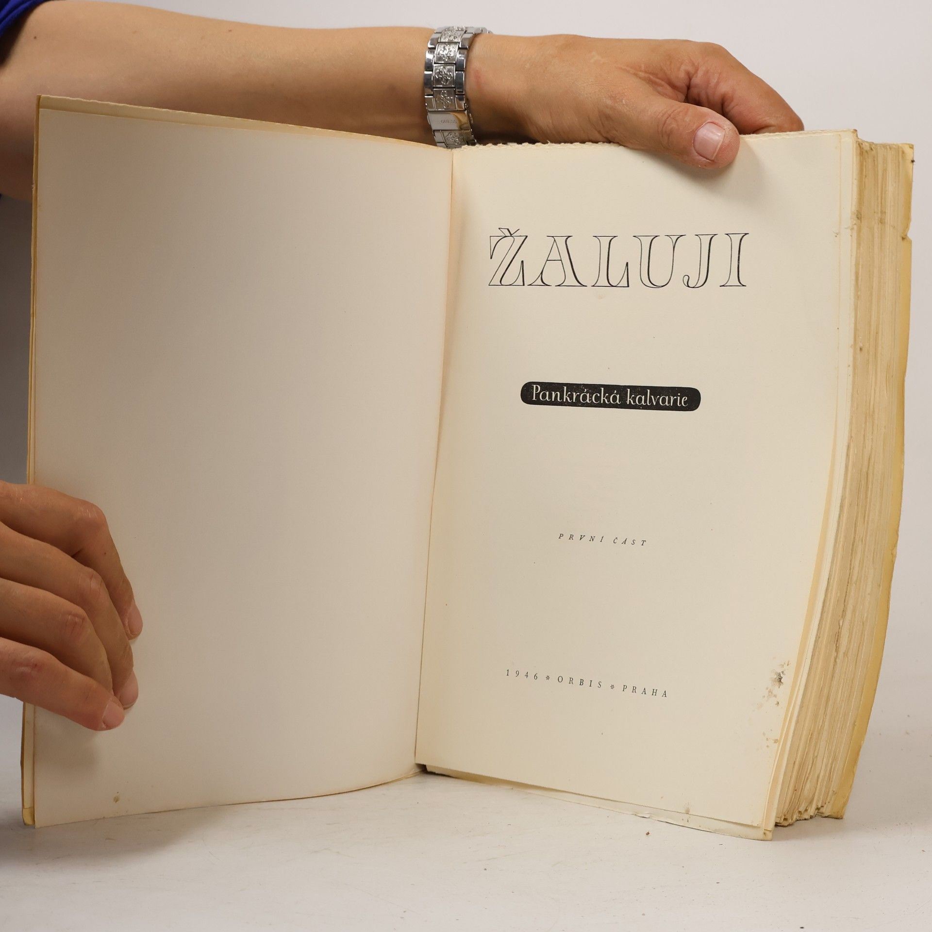 R. Karel Žaluji. Pankrácká kalvarie, 1. část