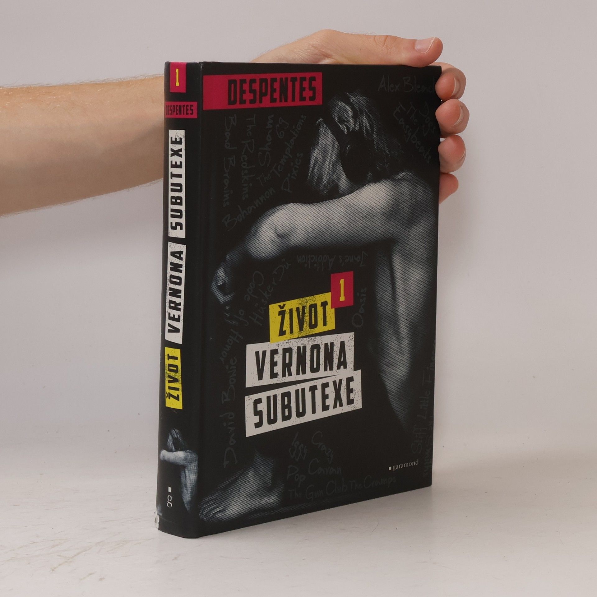Virginie Despentes Život Vernona Subutexe. Díl 1.