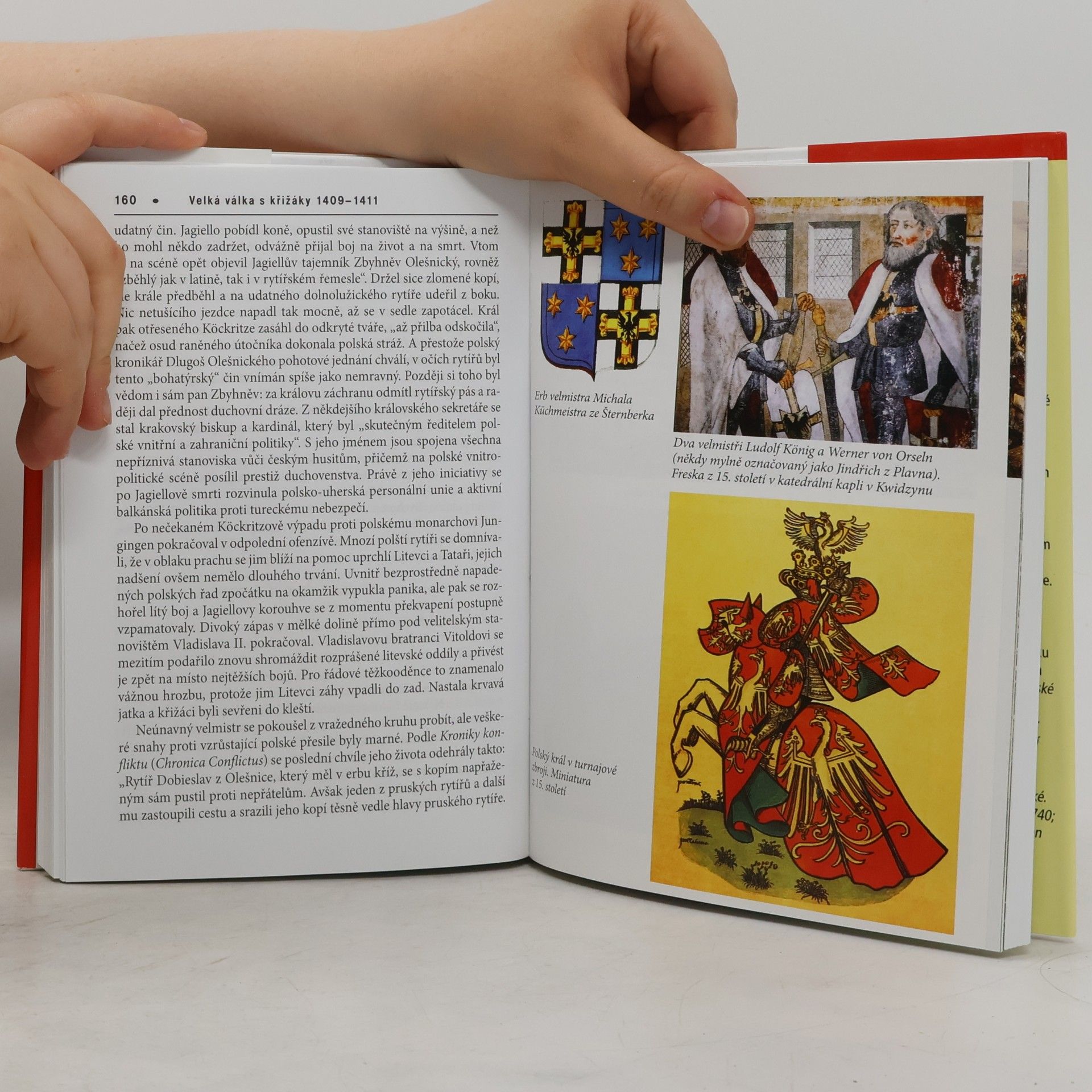 Radek Fukala Velká válka s křižáky 1409-1411. Světla a stíny grunvaldského vítězství