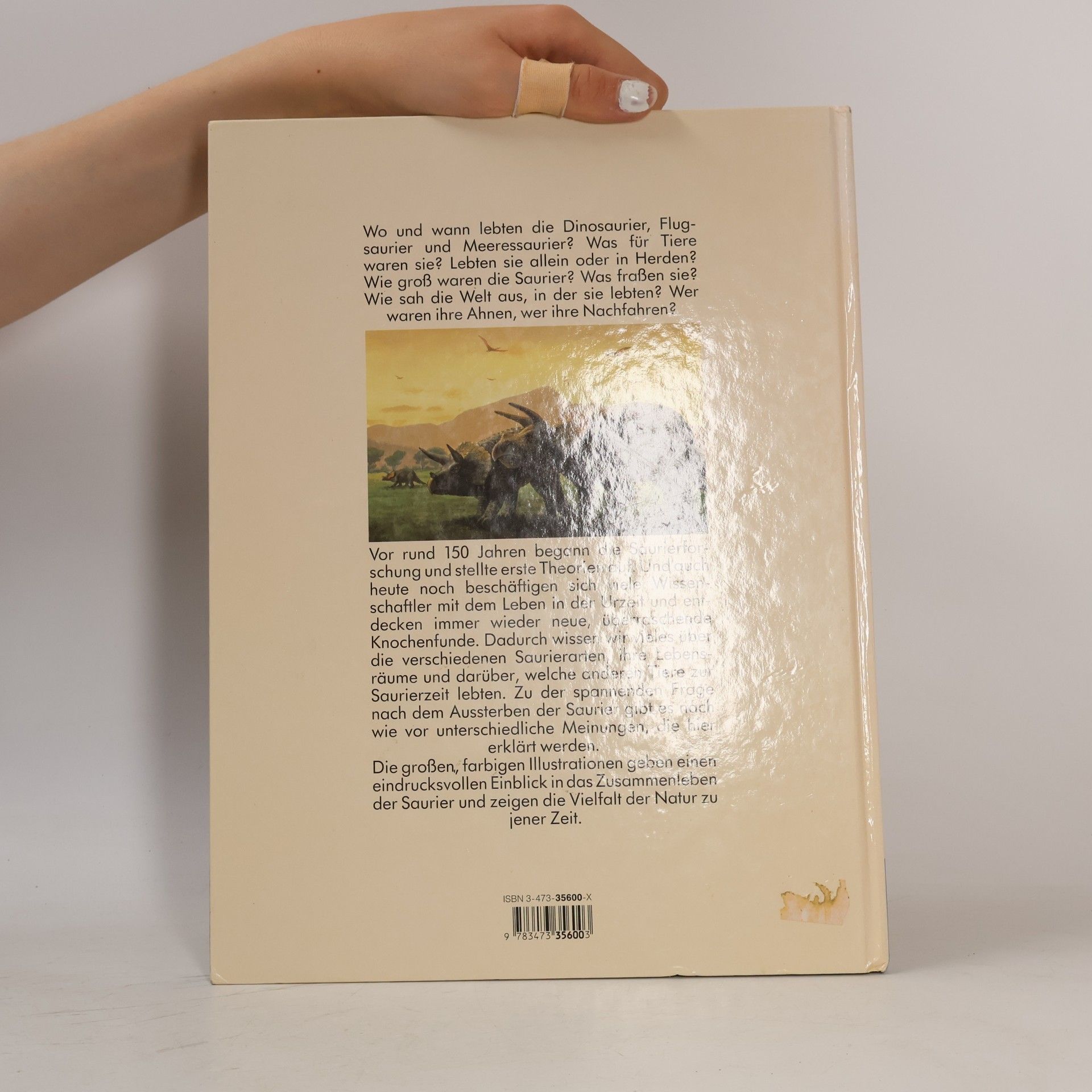 Peter Klepsch Das grosse Buch der Saurier