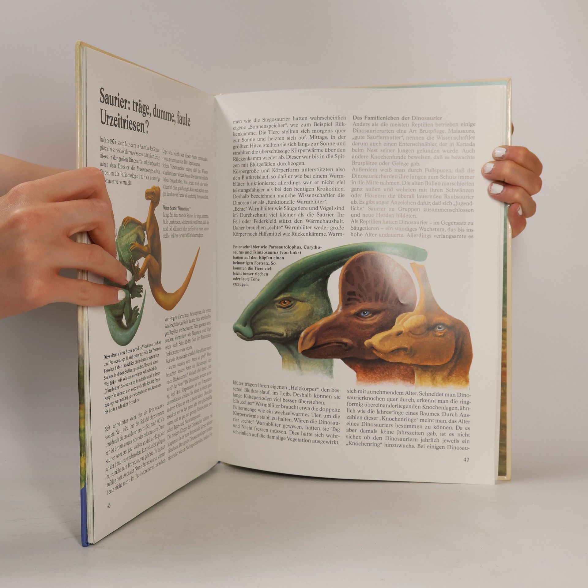Peter Klepsch Das grosse Buch der Saurier