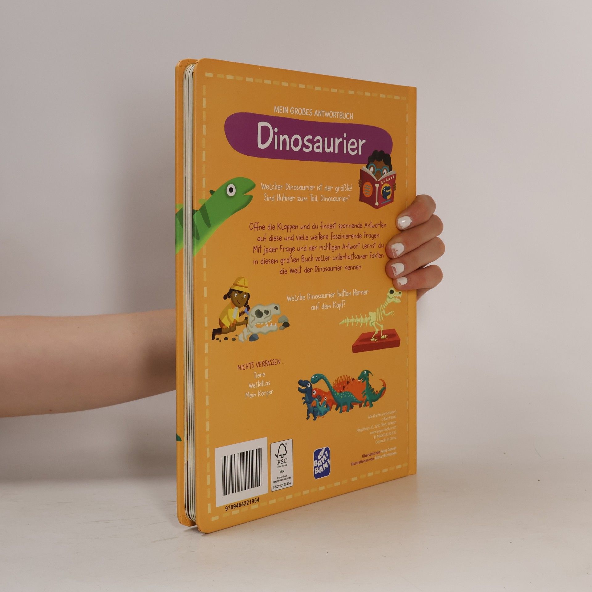 Autorenkollektiv Mein Großes Antwortbuch Dinosaurier
