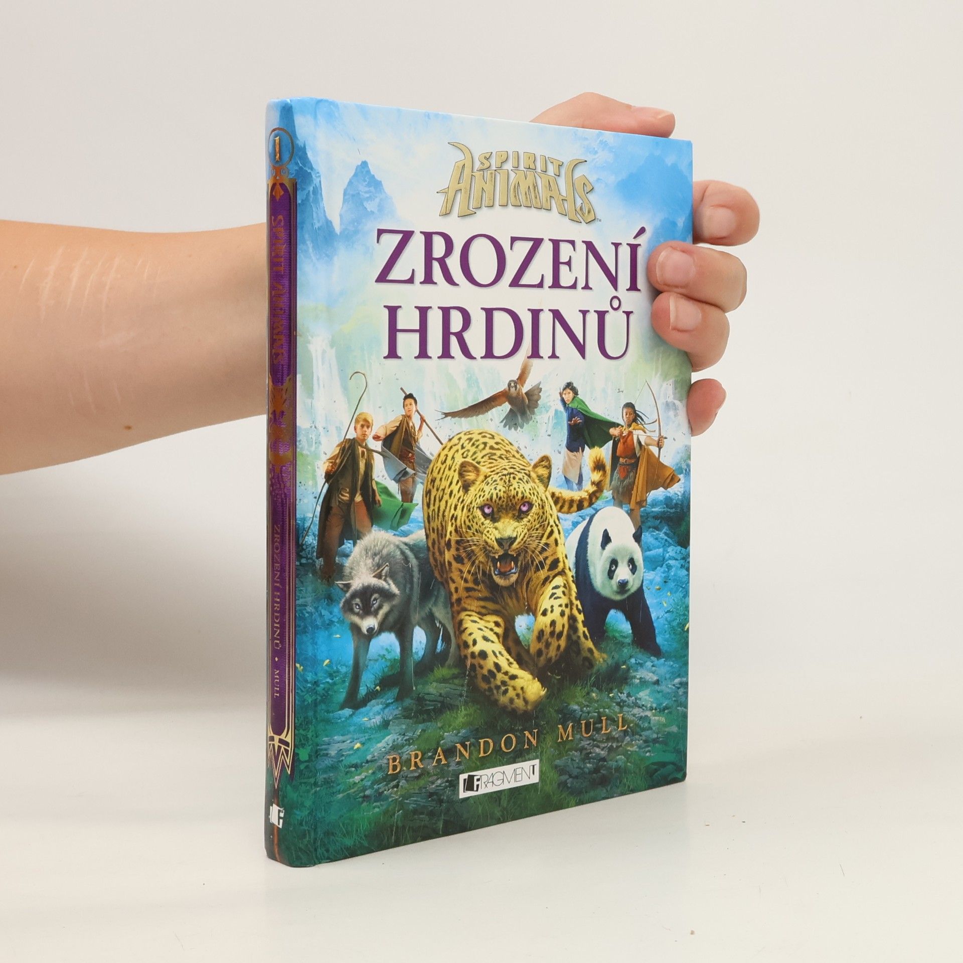Brandon Mull Zrození hrdinů