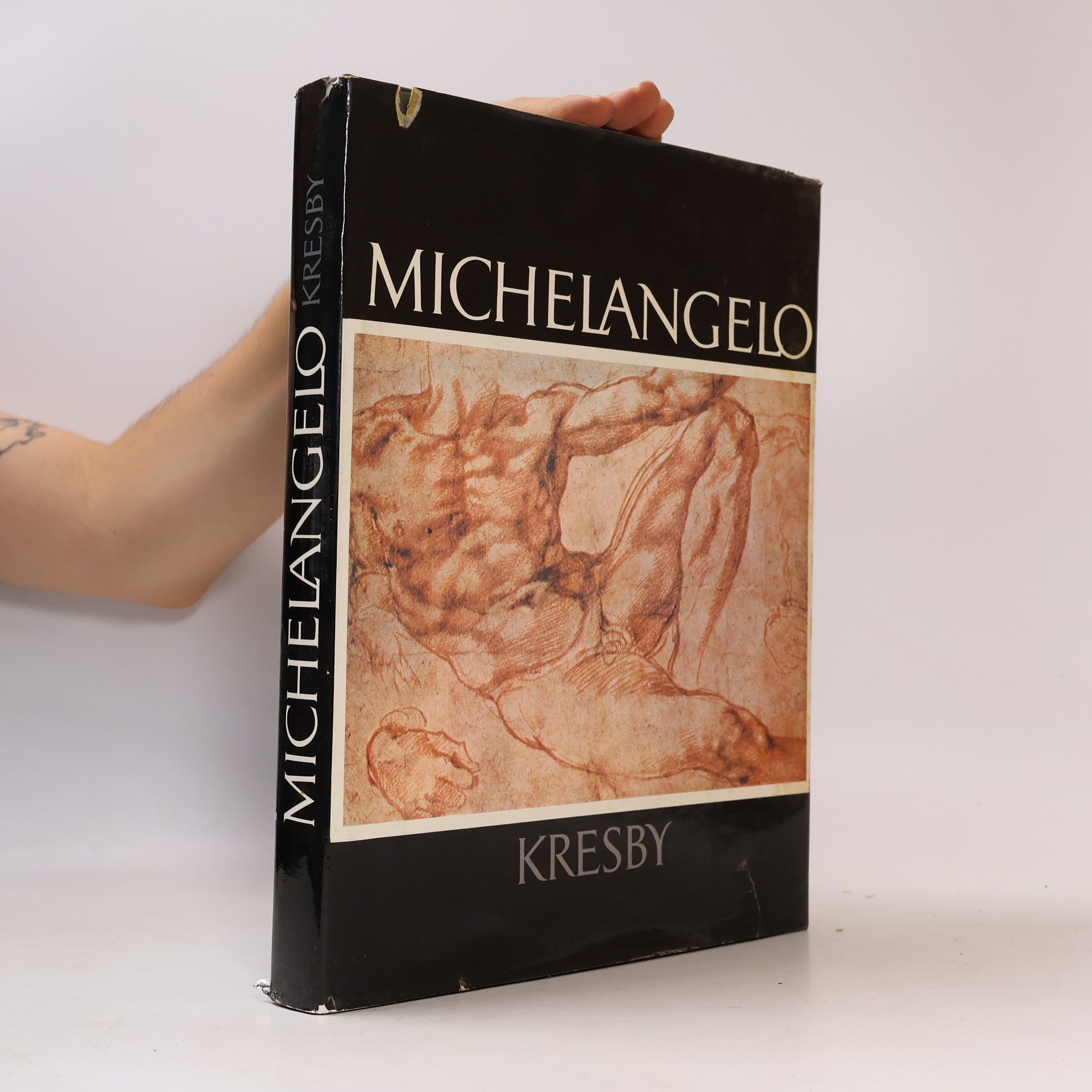 Pavel Preiss Michelangelo. Kresby