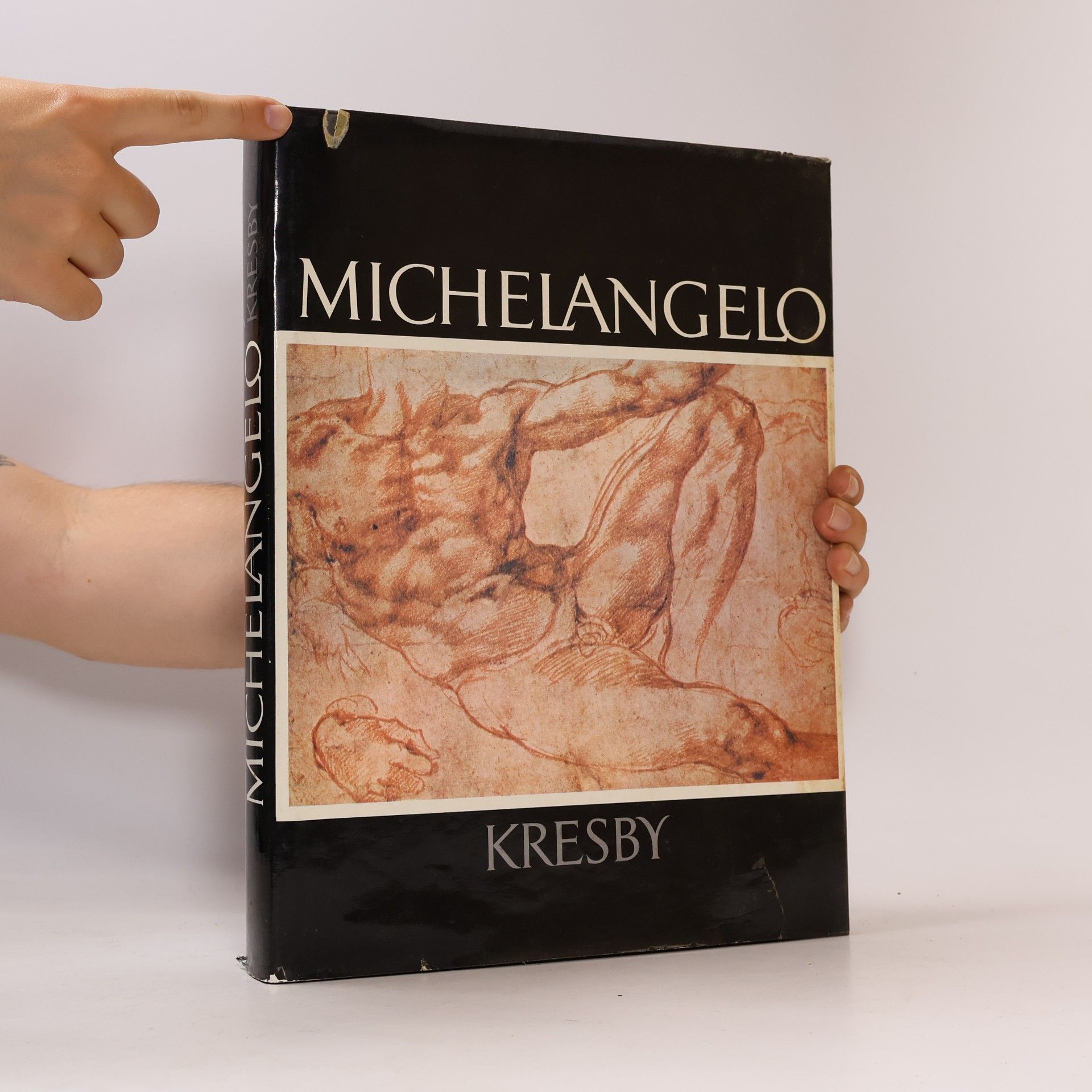 Pavel Preiss Michelangelo. Kresby