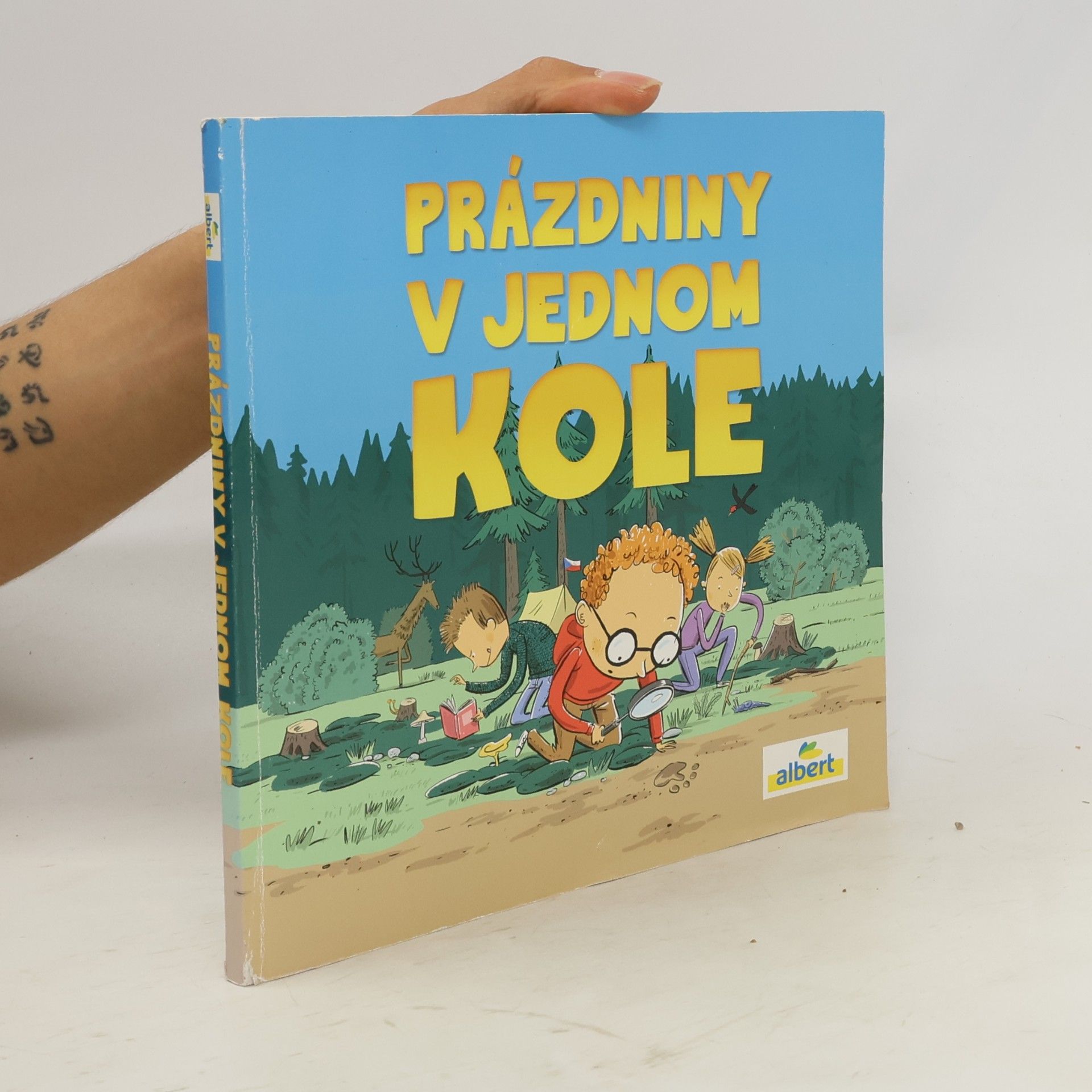 Kolektiv autorů Prázdniny v jednom kole