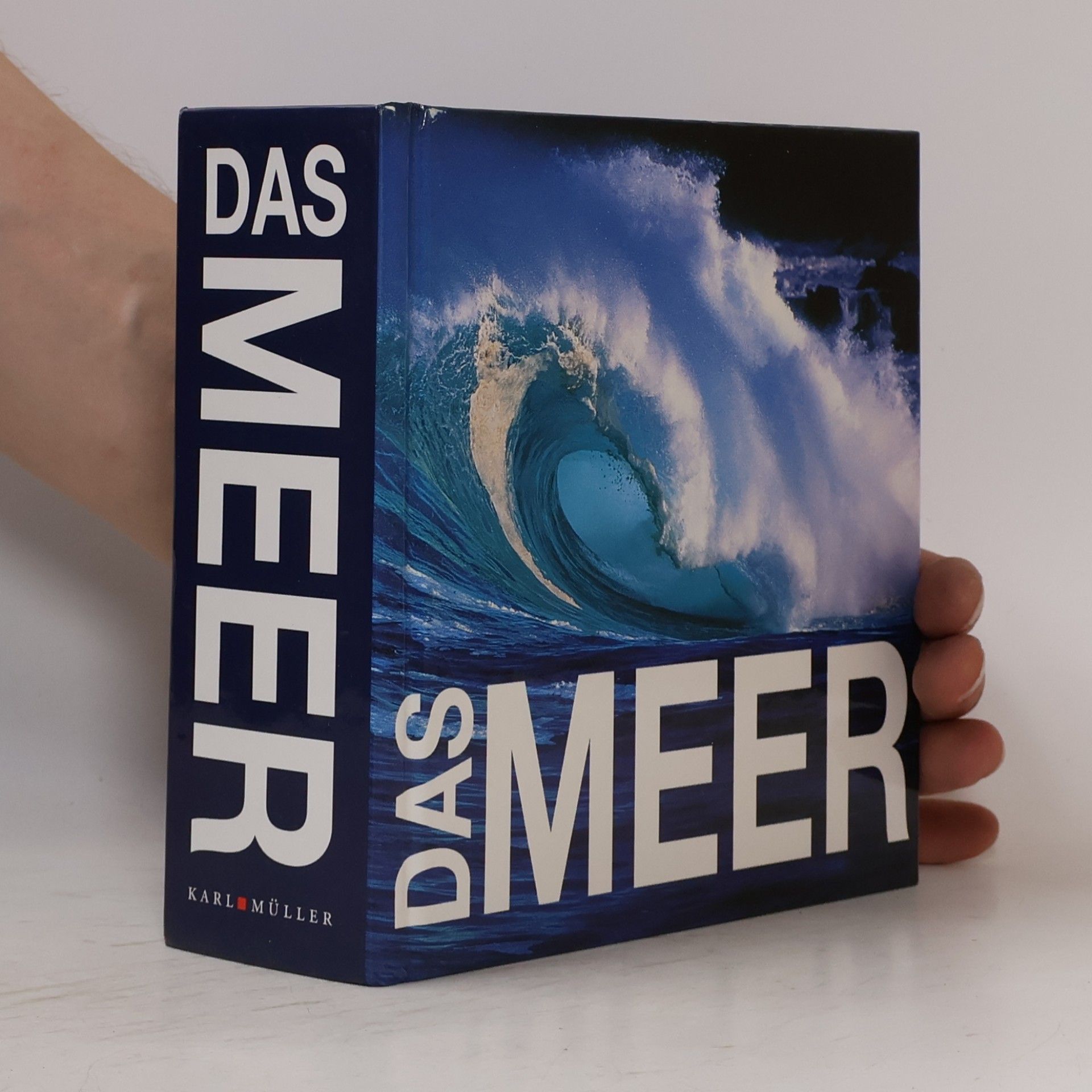 Gaetano Cafiero Das Meer