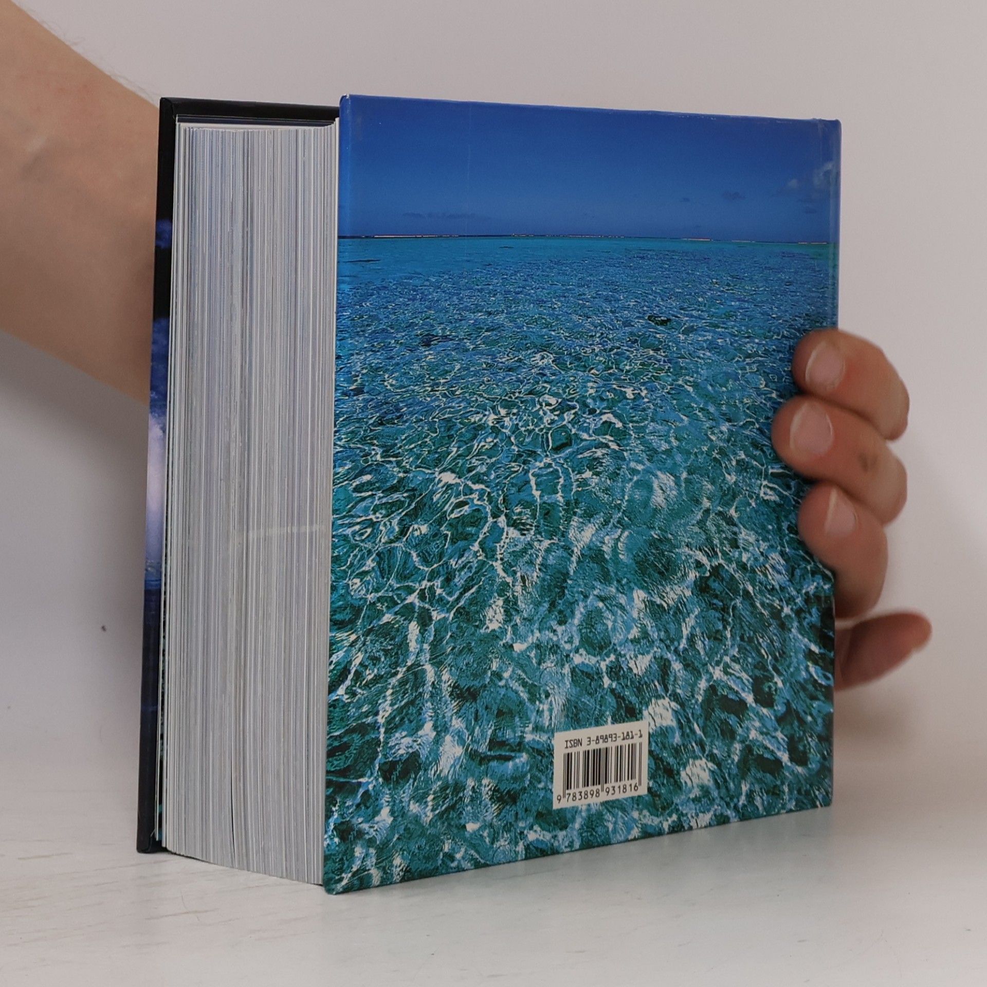 Gaetano Cafiero Das Meer