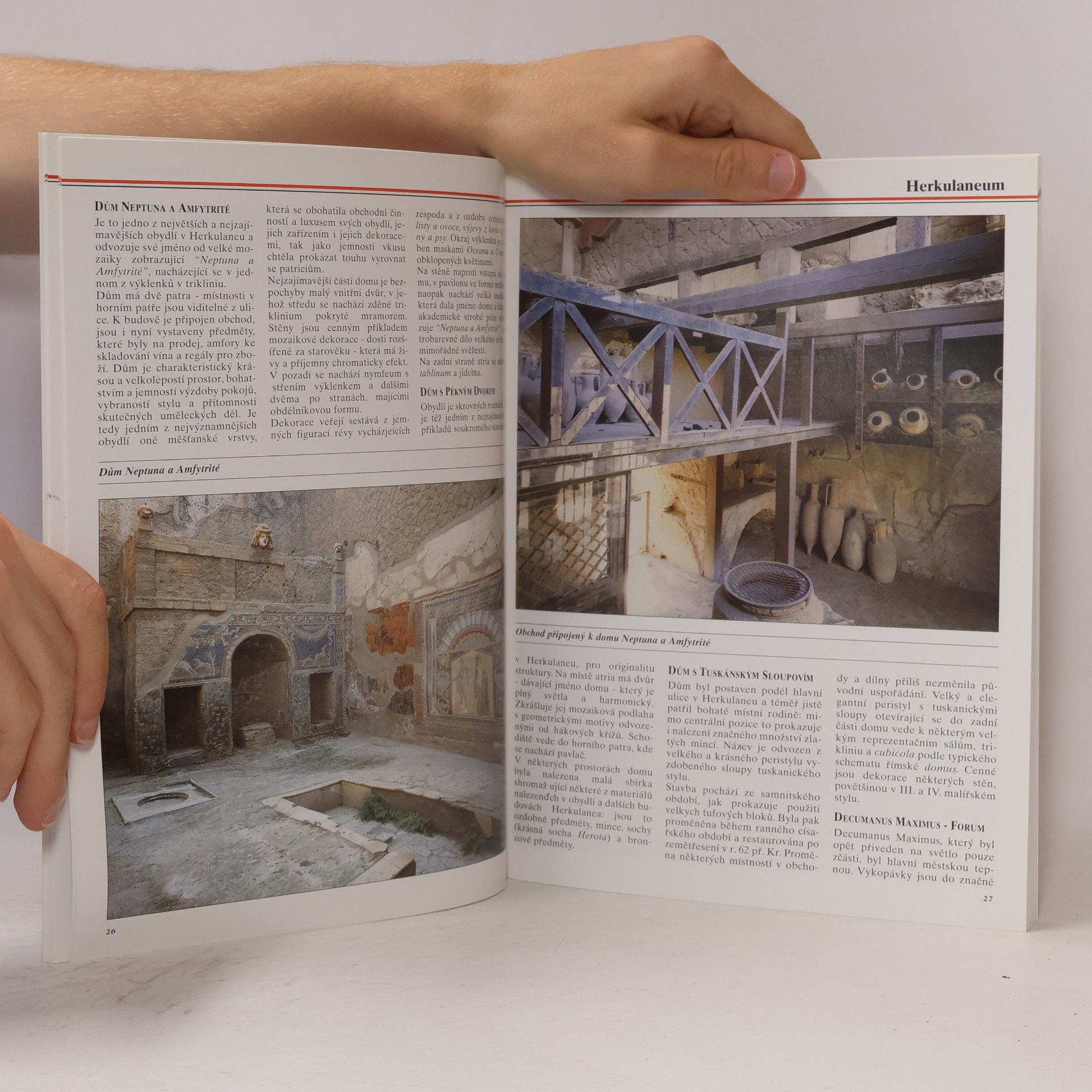 Loretta Santini Herkulaneum Vesuv Pompeje