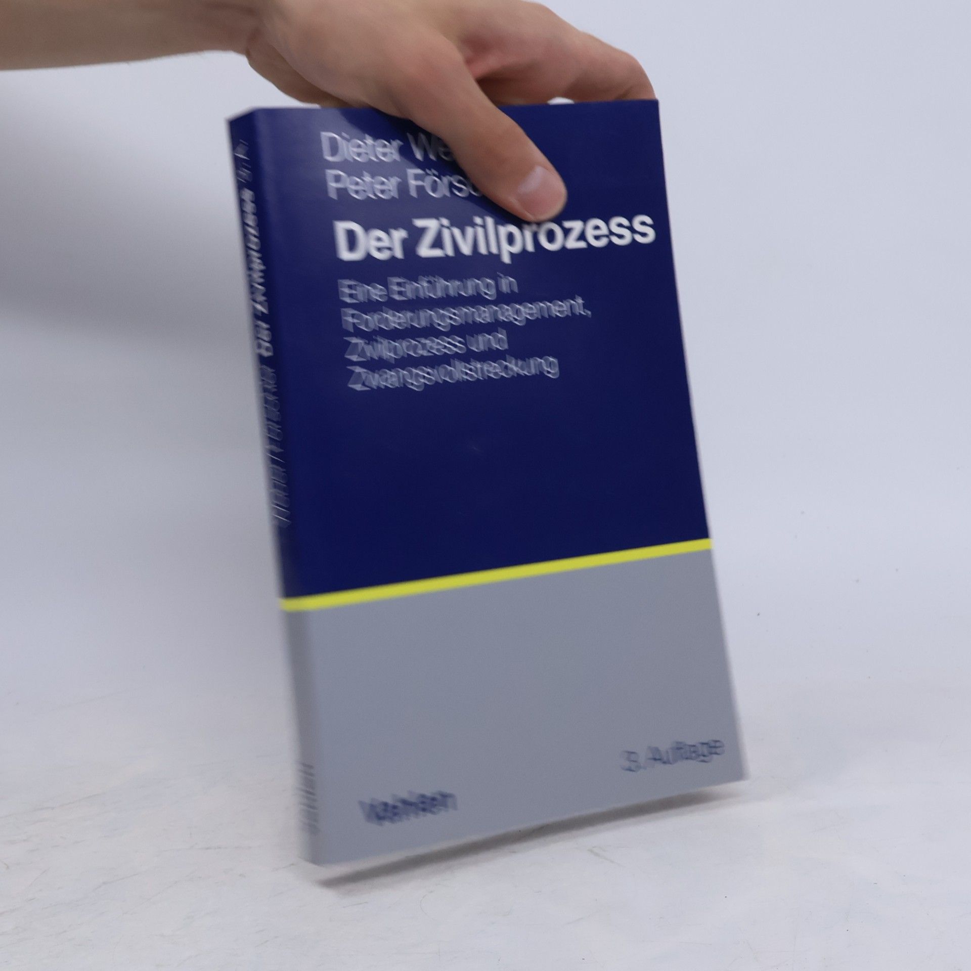 Der Zivilprozess