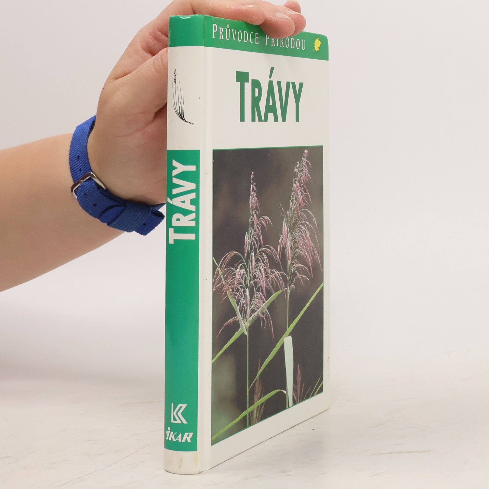 Jiří Váňa Trávy : lipnicovité, šáchorovité, sítinovité a rostliny podobné travám Evropy
