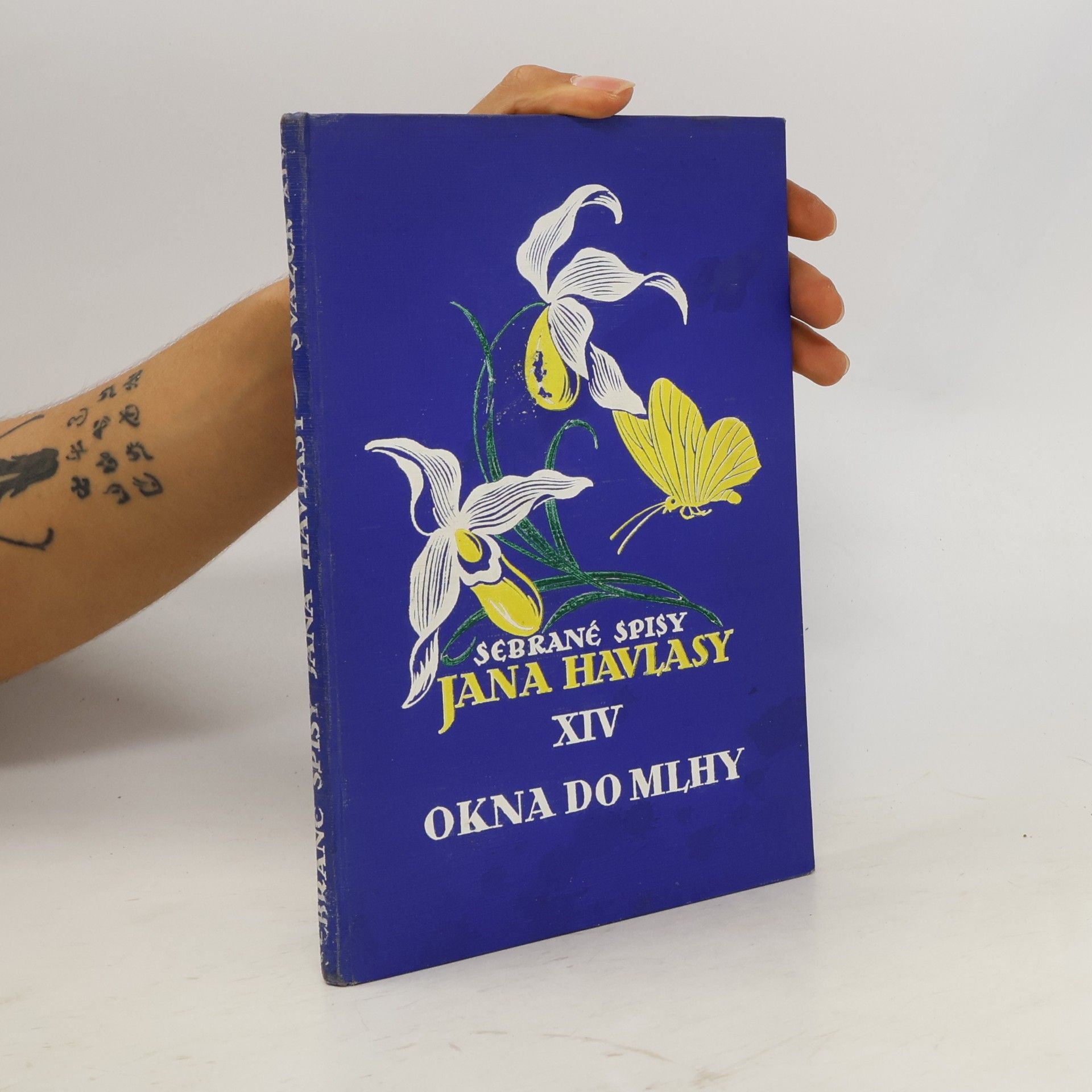 Jan Havlasa Sebrané spisy Jana Havlasy XIV : Okna do mlhy