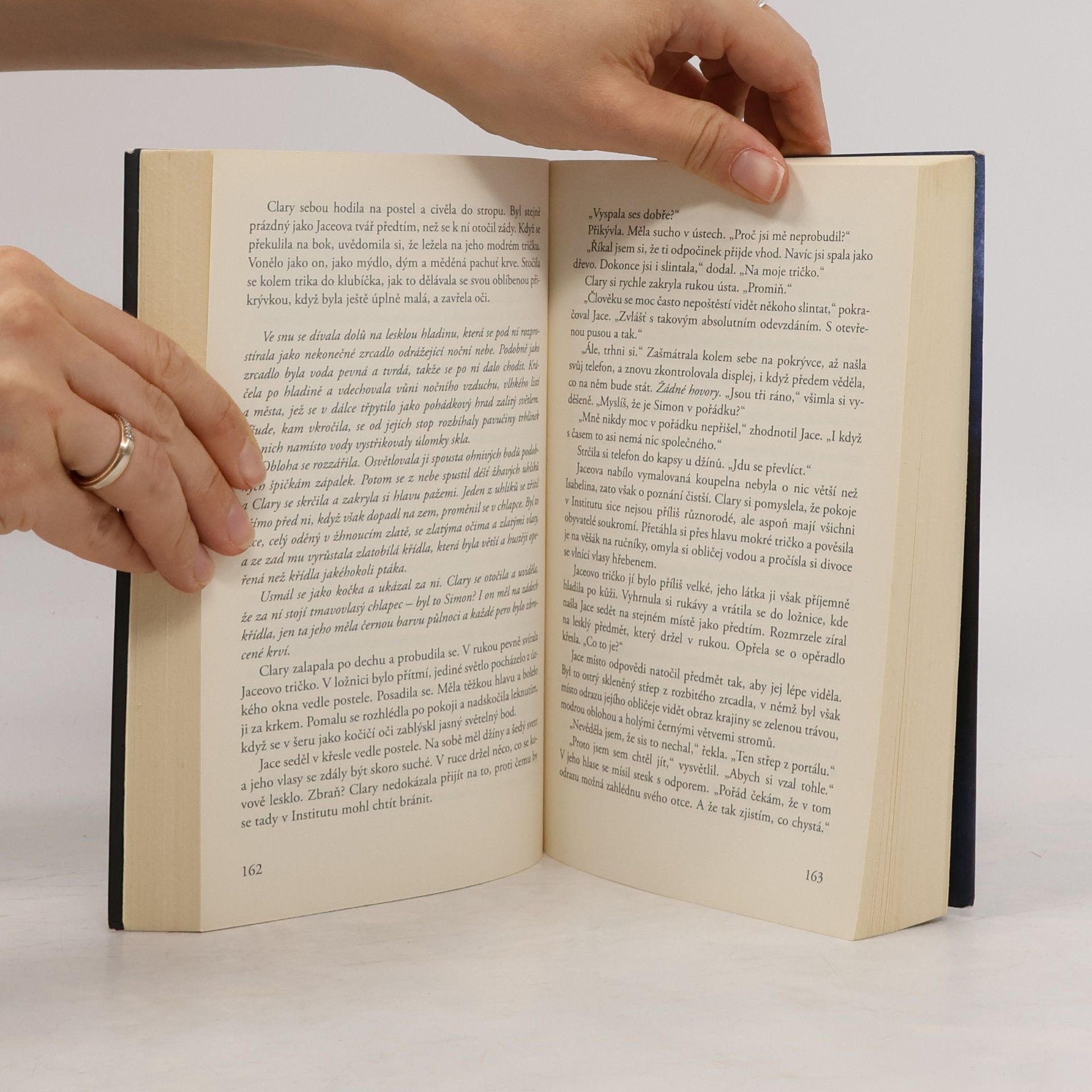 Cassandra Clare Nástroje smrti 2: Město z popela