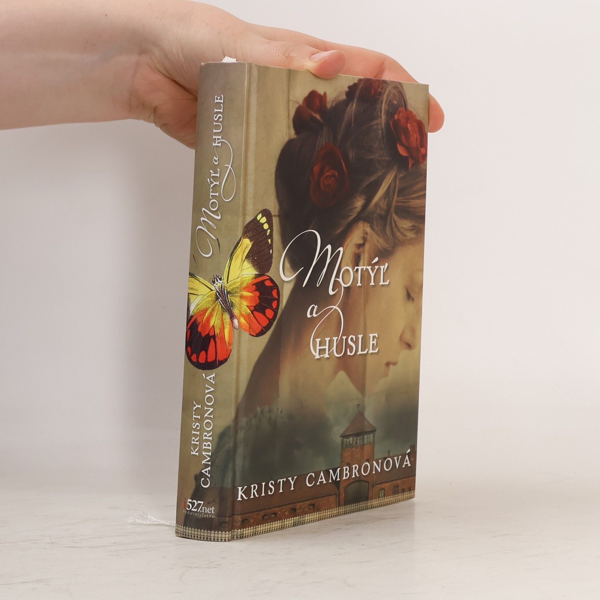 Kristy Cambron Motýl a husle
