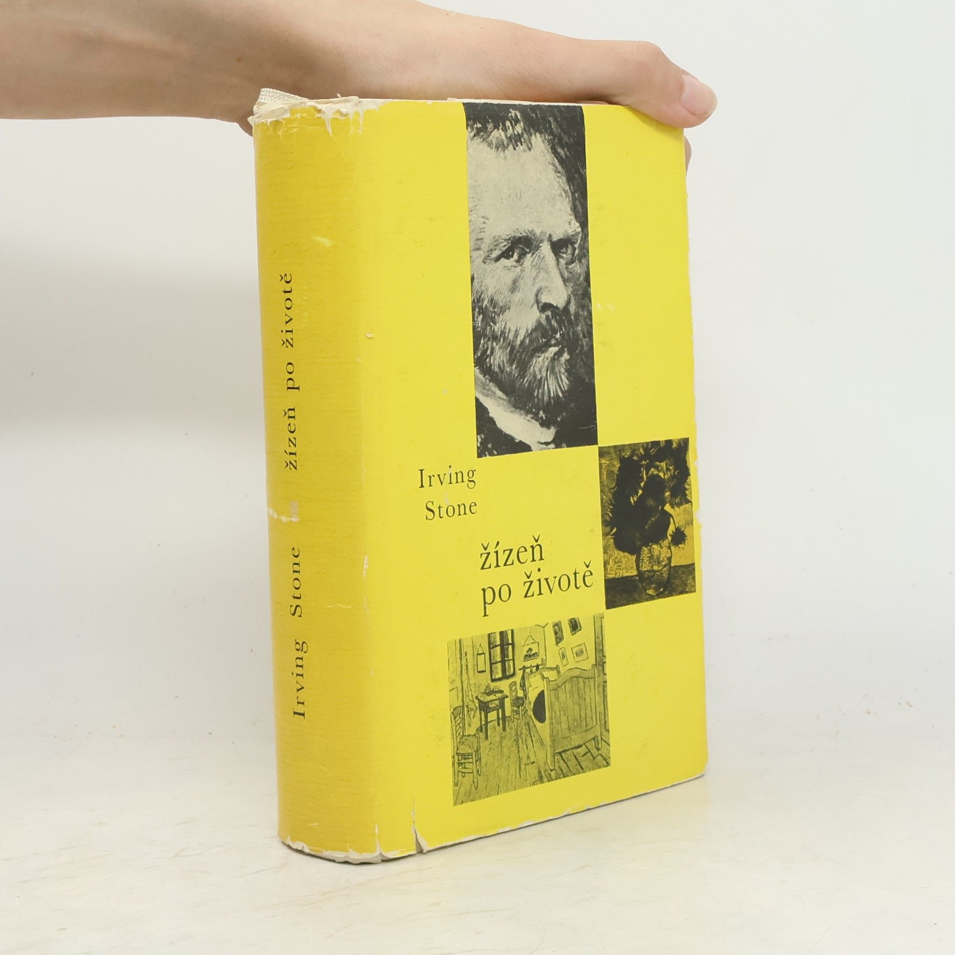 Irving Stone Žízeň po životě