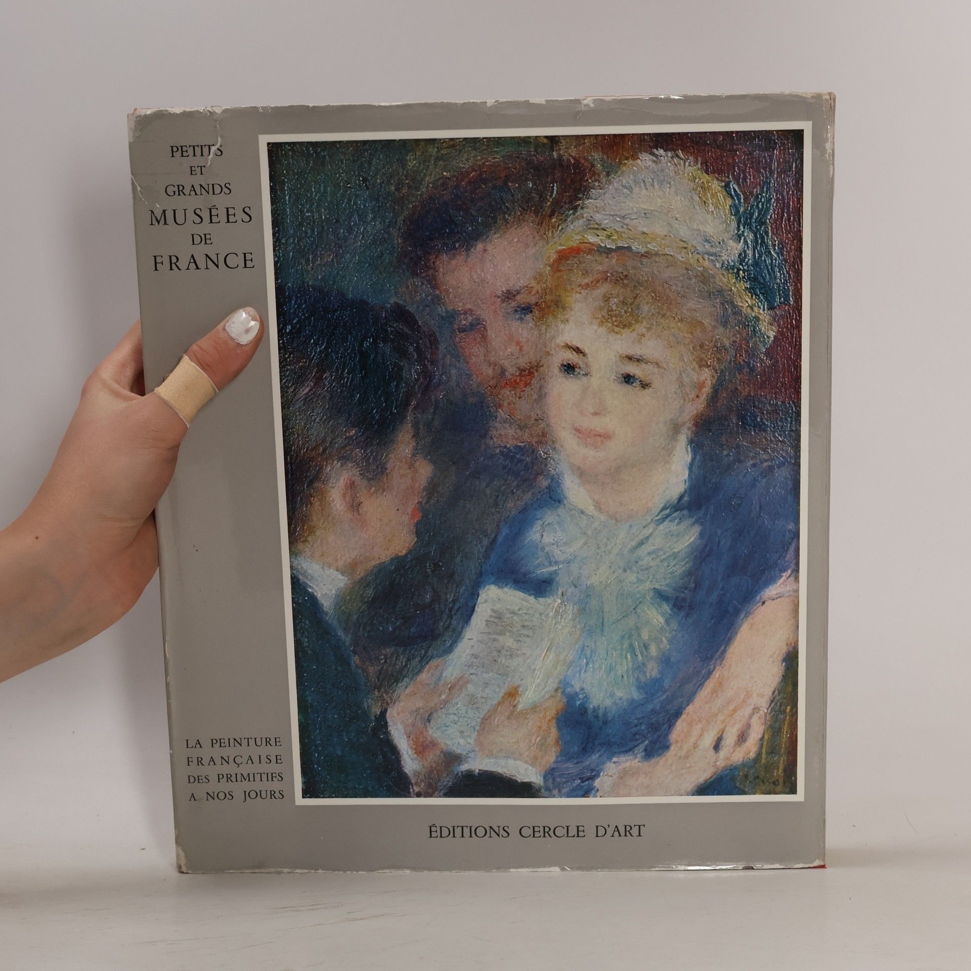 Collectif d'auteurs Petits et grands Musées de France