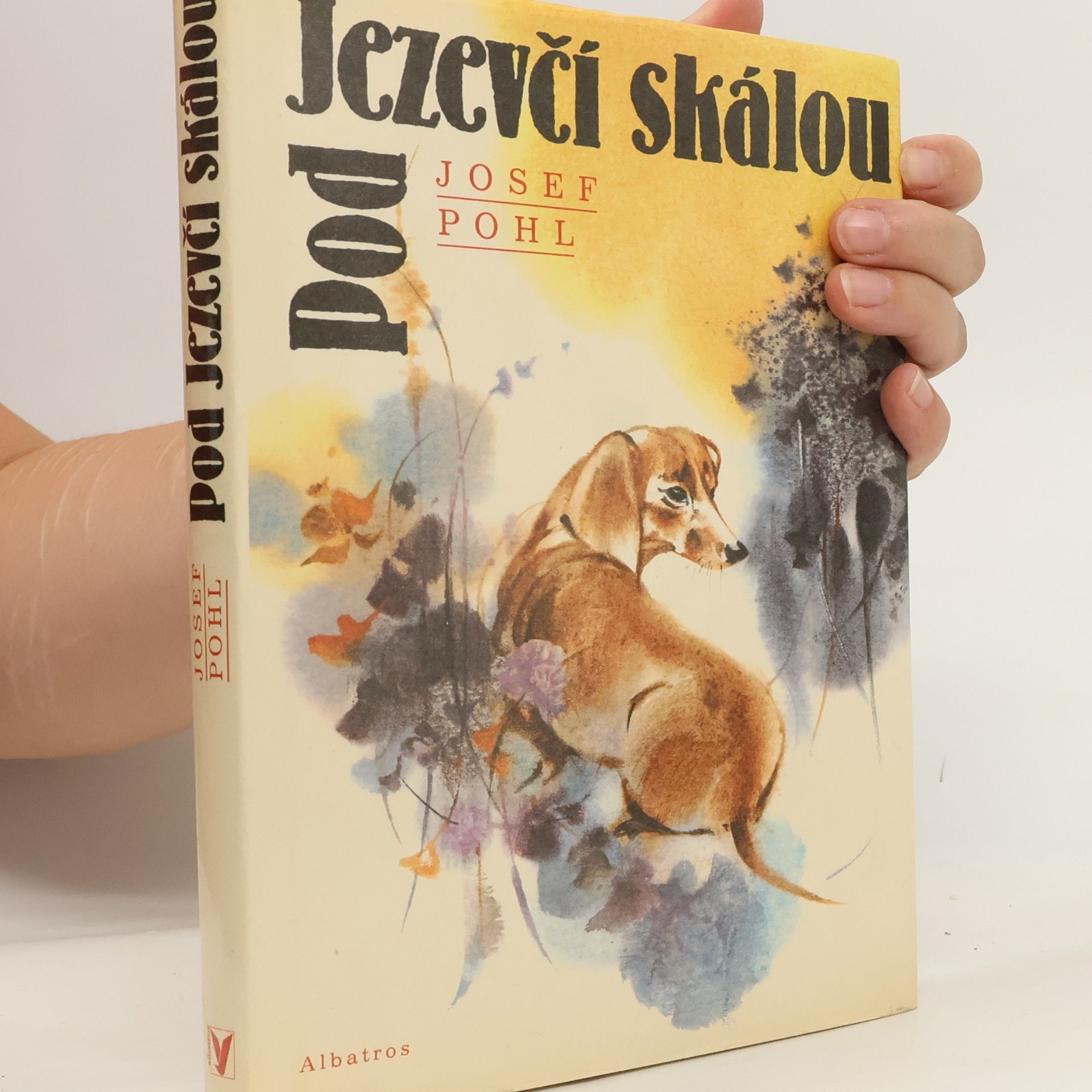 Josef Pohl Pod Jezevčí skálou