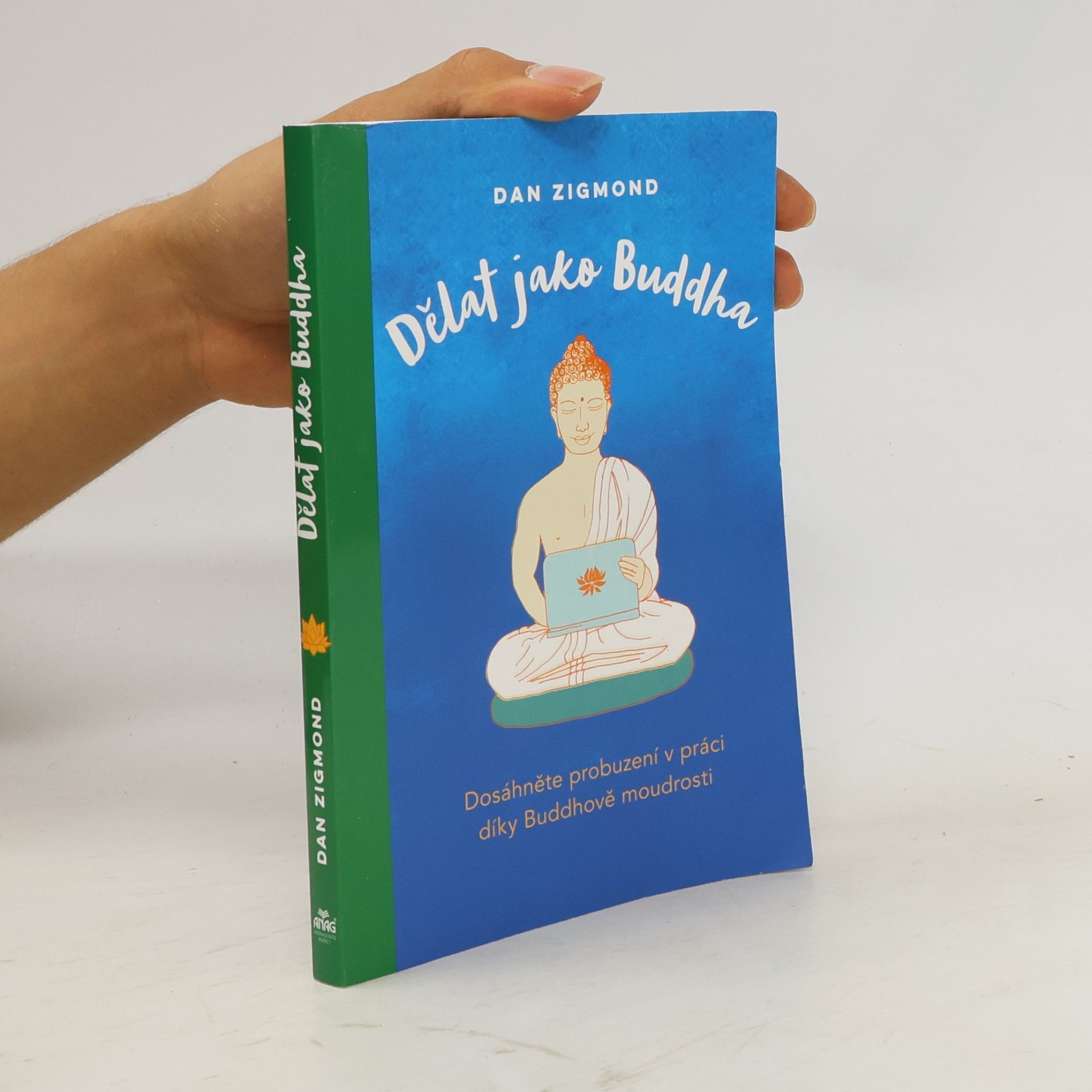 Dan Zigmond Dělat jako Buddha