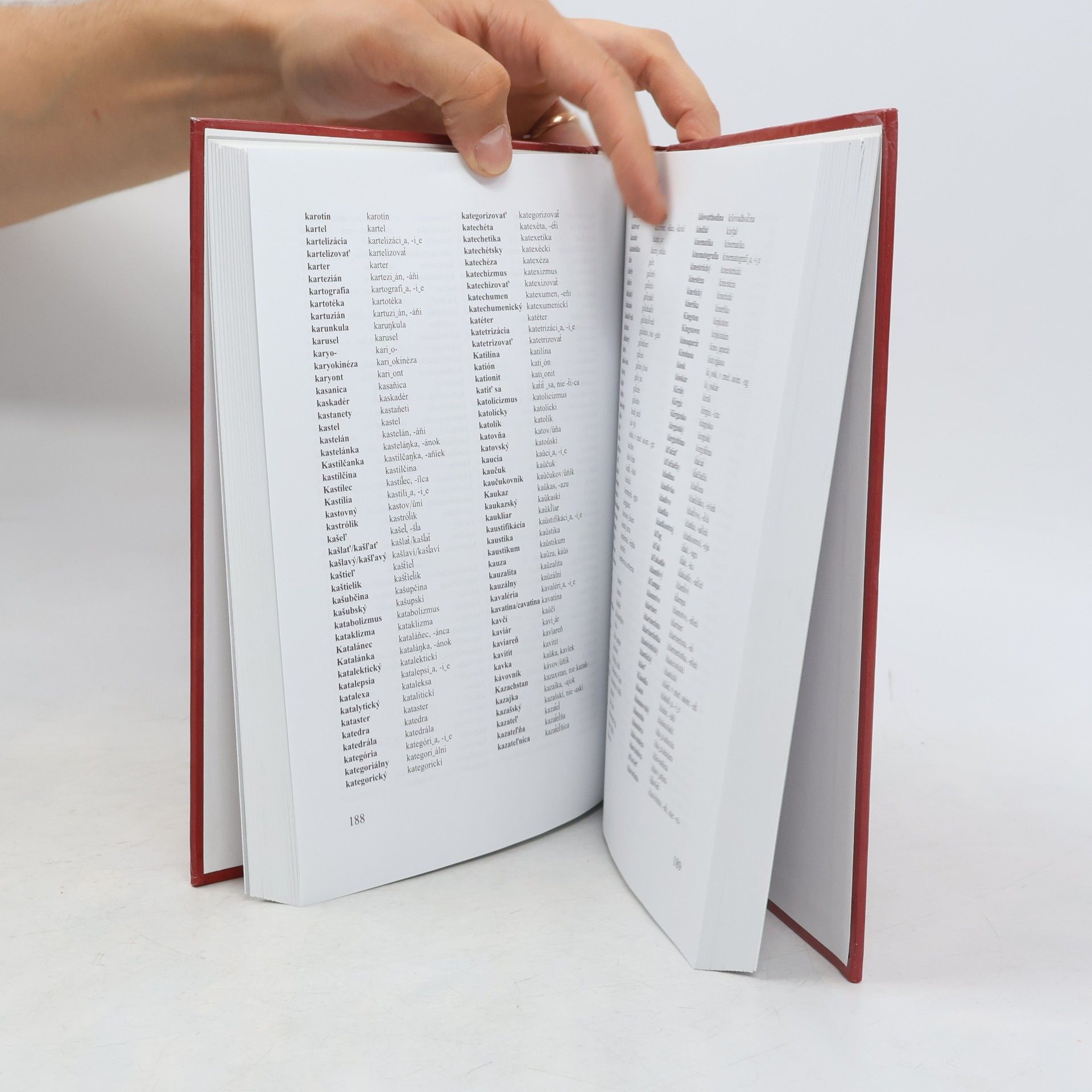 Ábel Kráľ Pravidlá slovenskej výslovnosti : systematika a ortoepický slovník