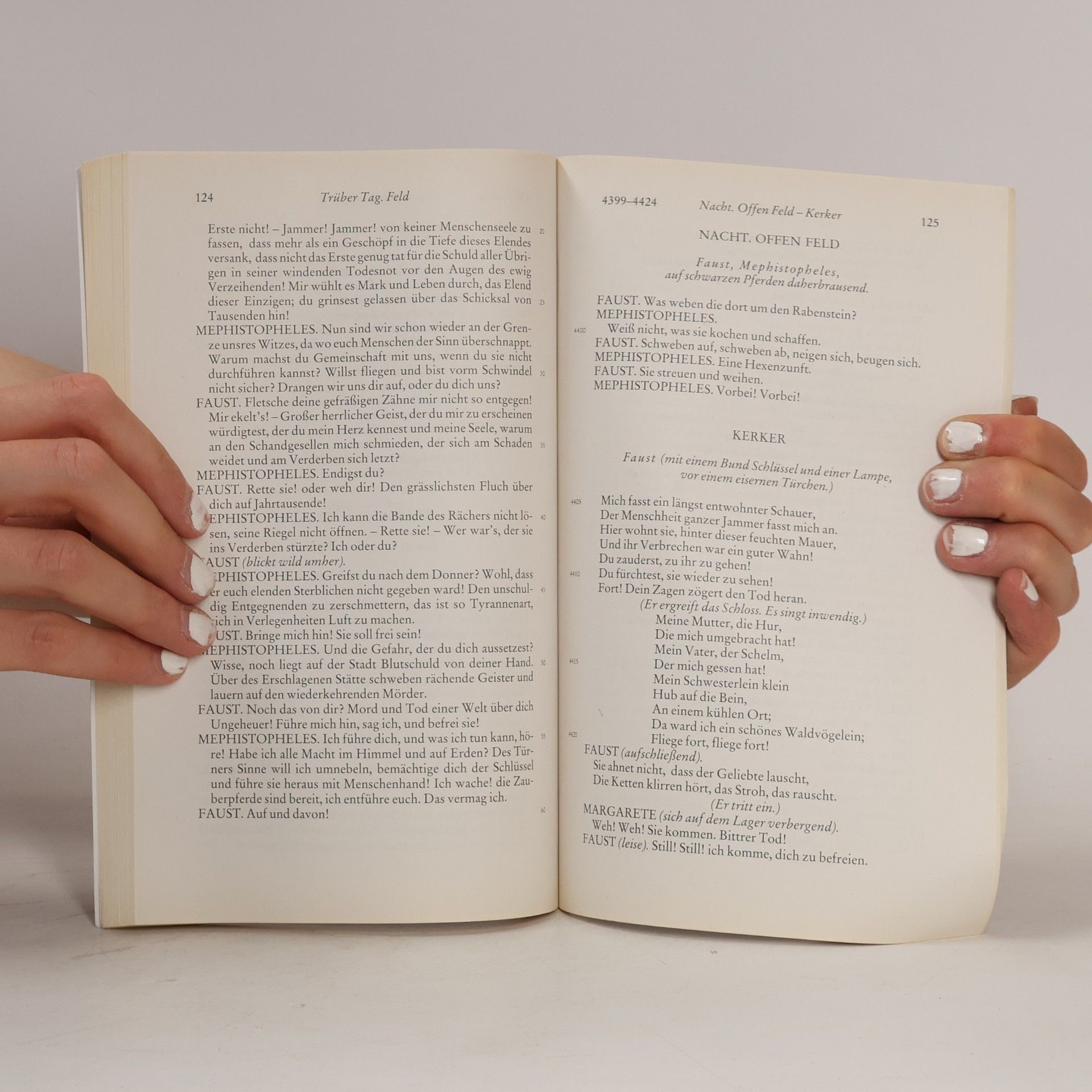 Johann Wolfgang von Goethe Faust (Erster Teil)