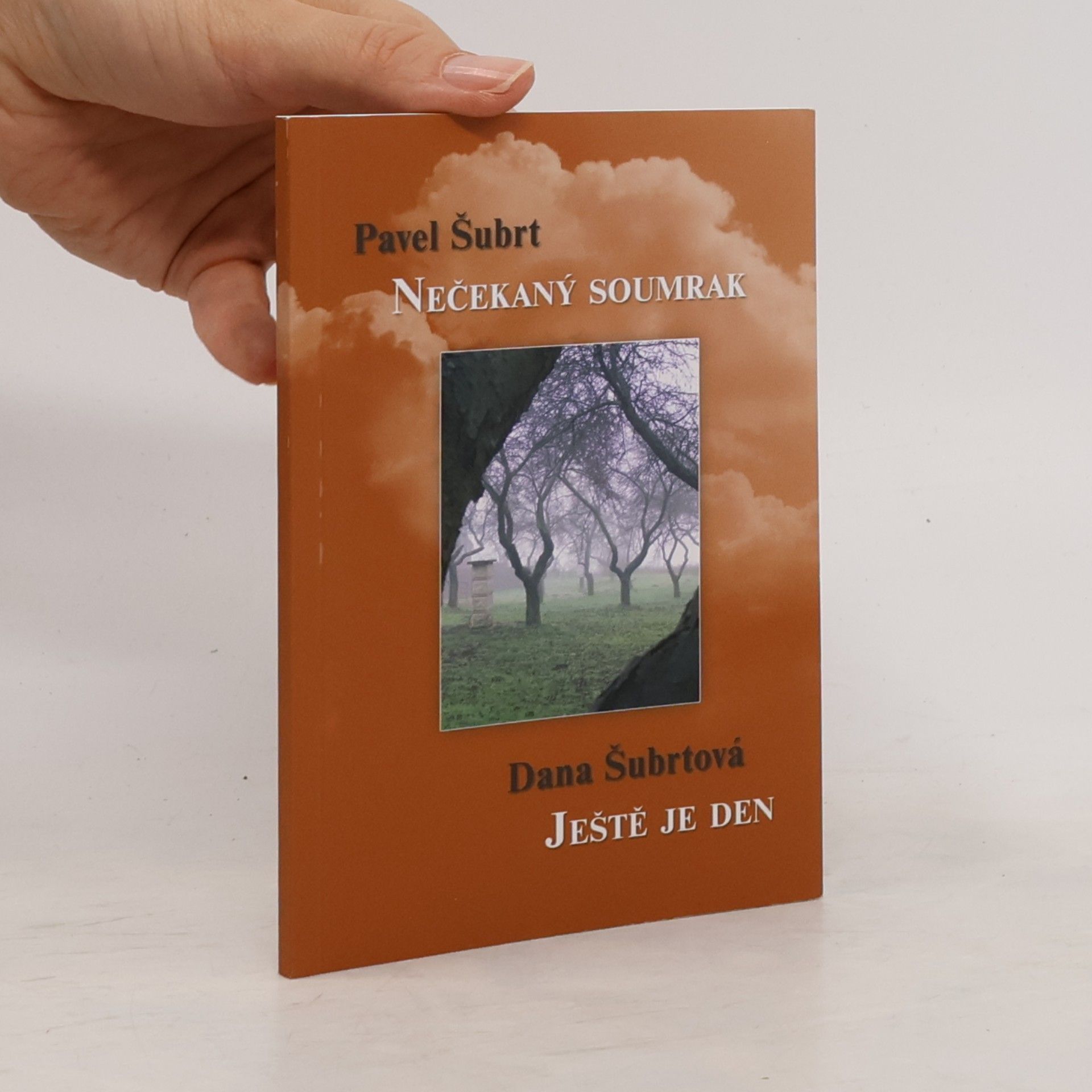 Nečekaný soumrak. Ještě je den