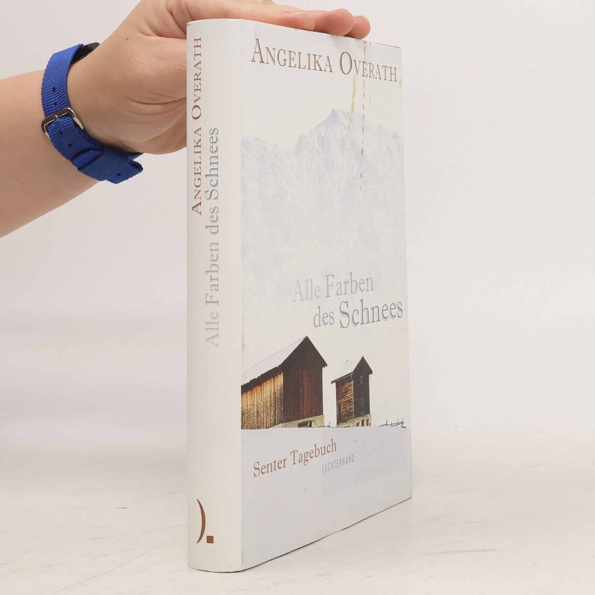 Angelika Overath Alle Farben des Schnees