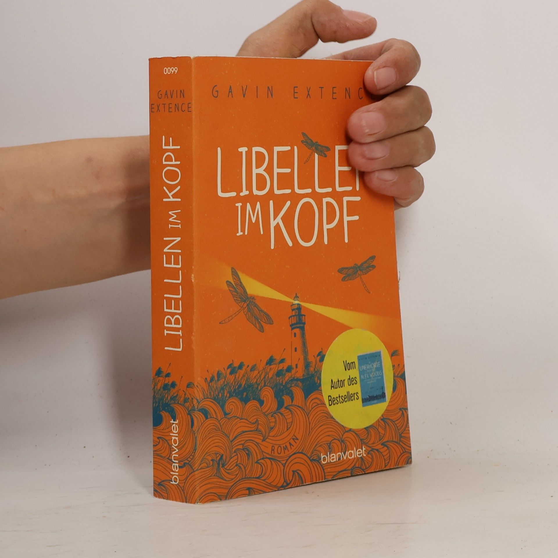 Gavin Extence Libellen im Kopf