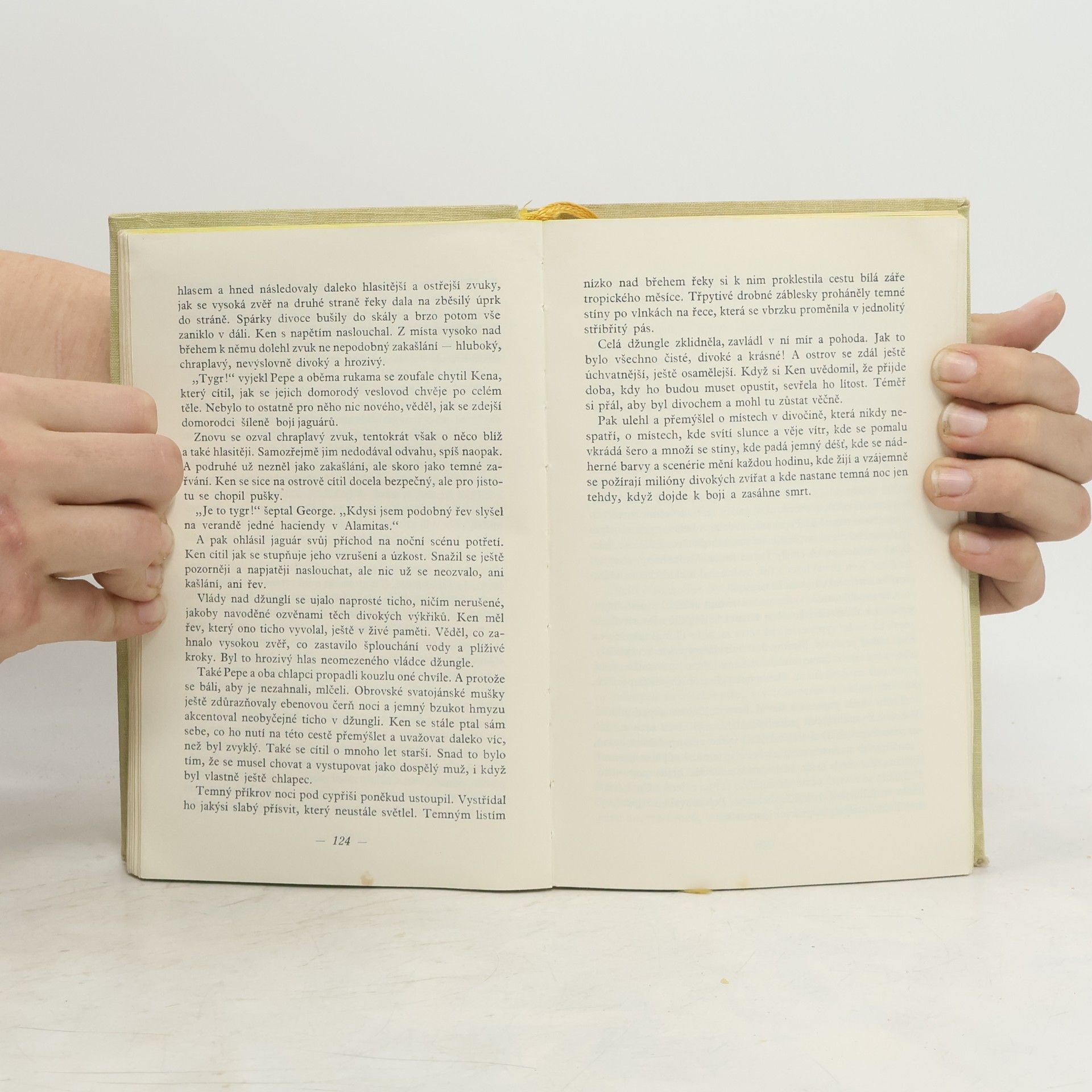 Zane Grey Ken Ward v džungli