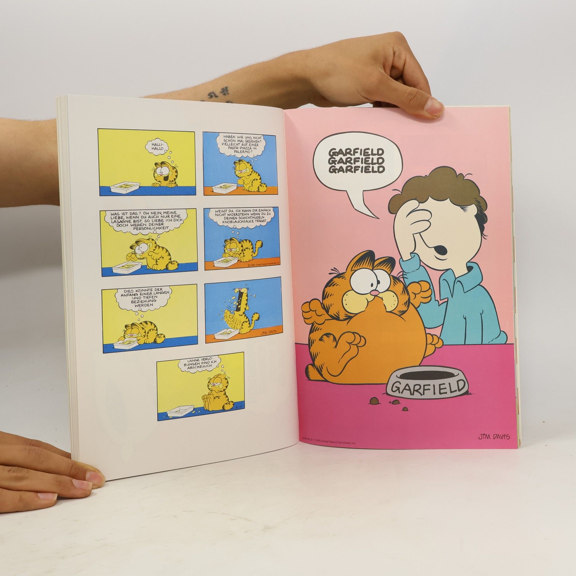 Jim Davis Die Garfield-Galerie 1. Katzen-Comics