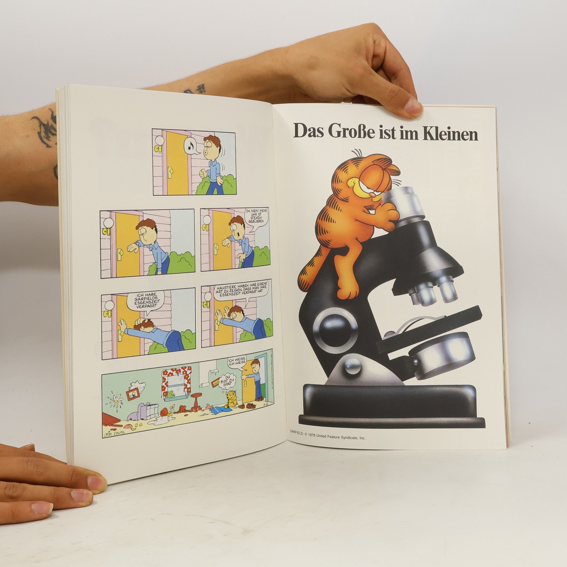 Jim Davis Die Garfield-Galerie 4. Katzen- Comics